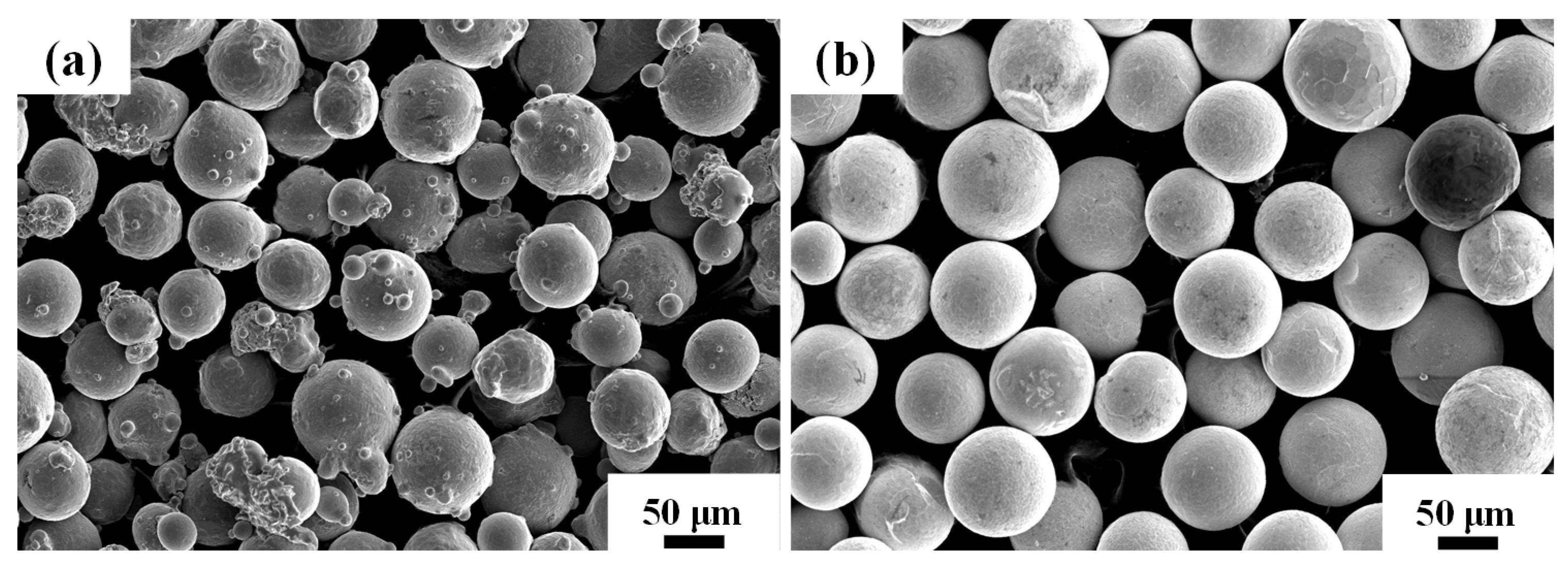 Coatings 13 00151 g001