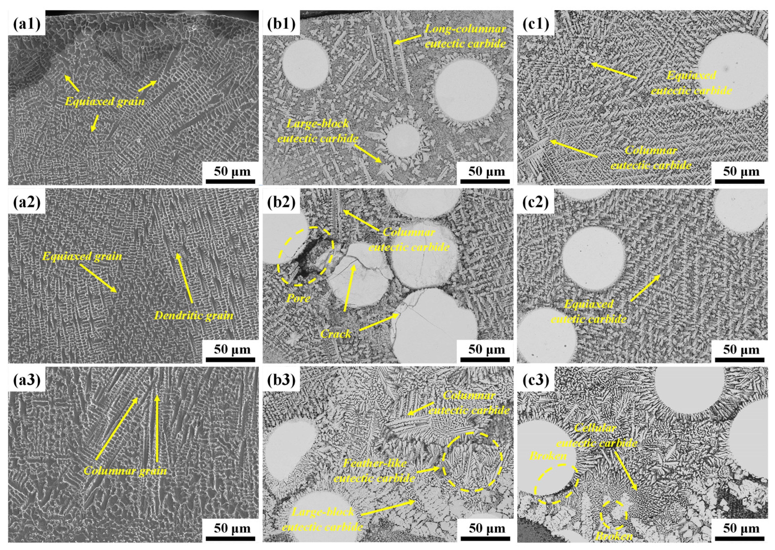Coatings 13 00151 g006