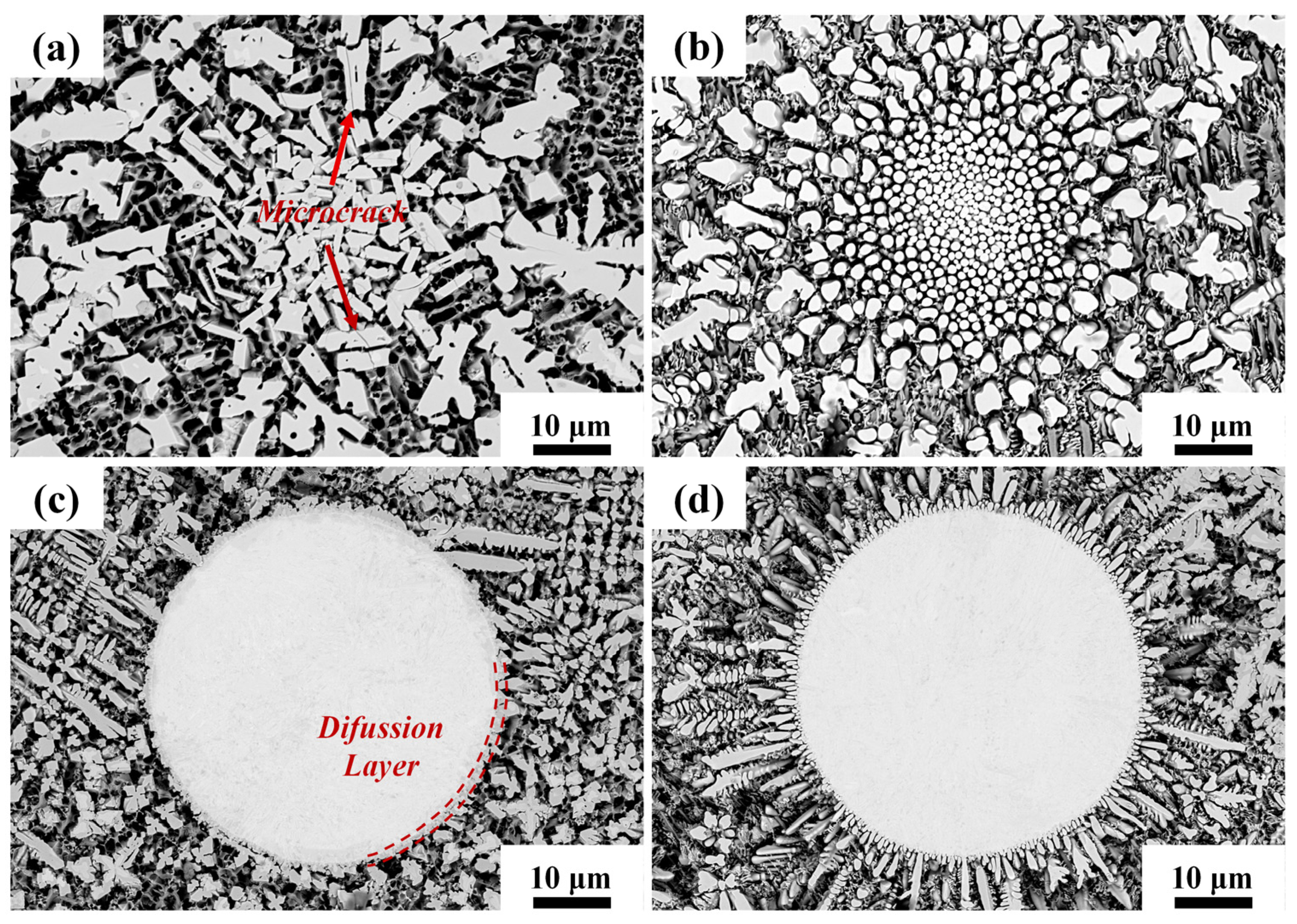 Coatings 13 00151 g008