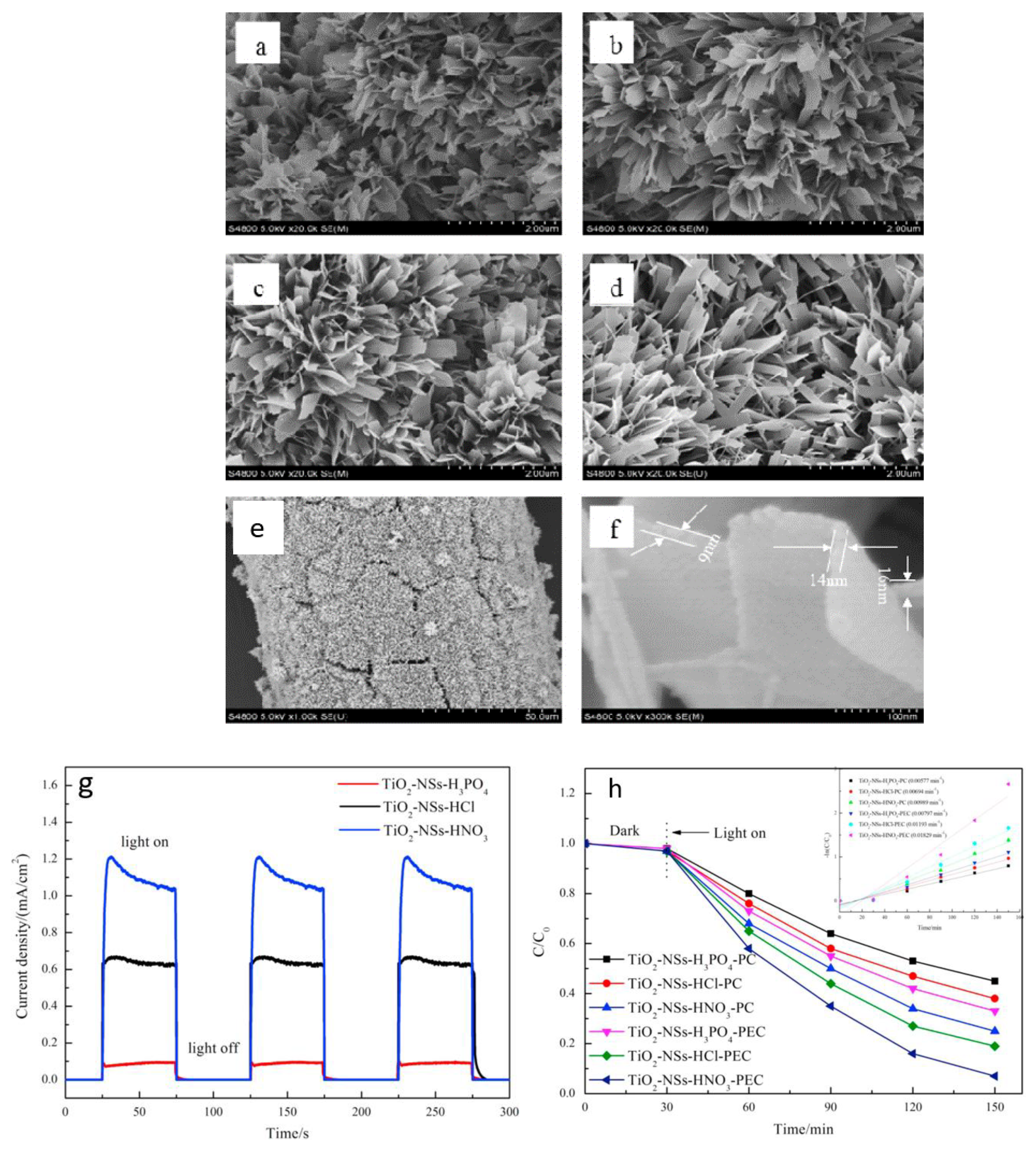 Coatings 13 00159 g002 Coatings 13 00159 g002
