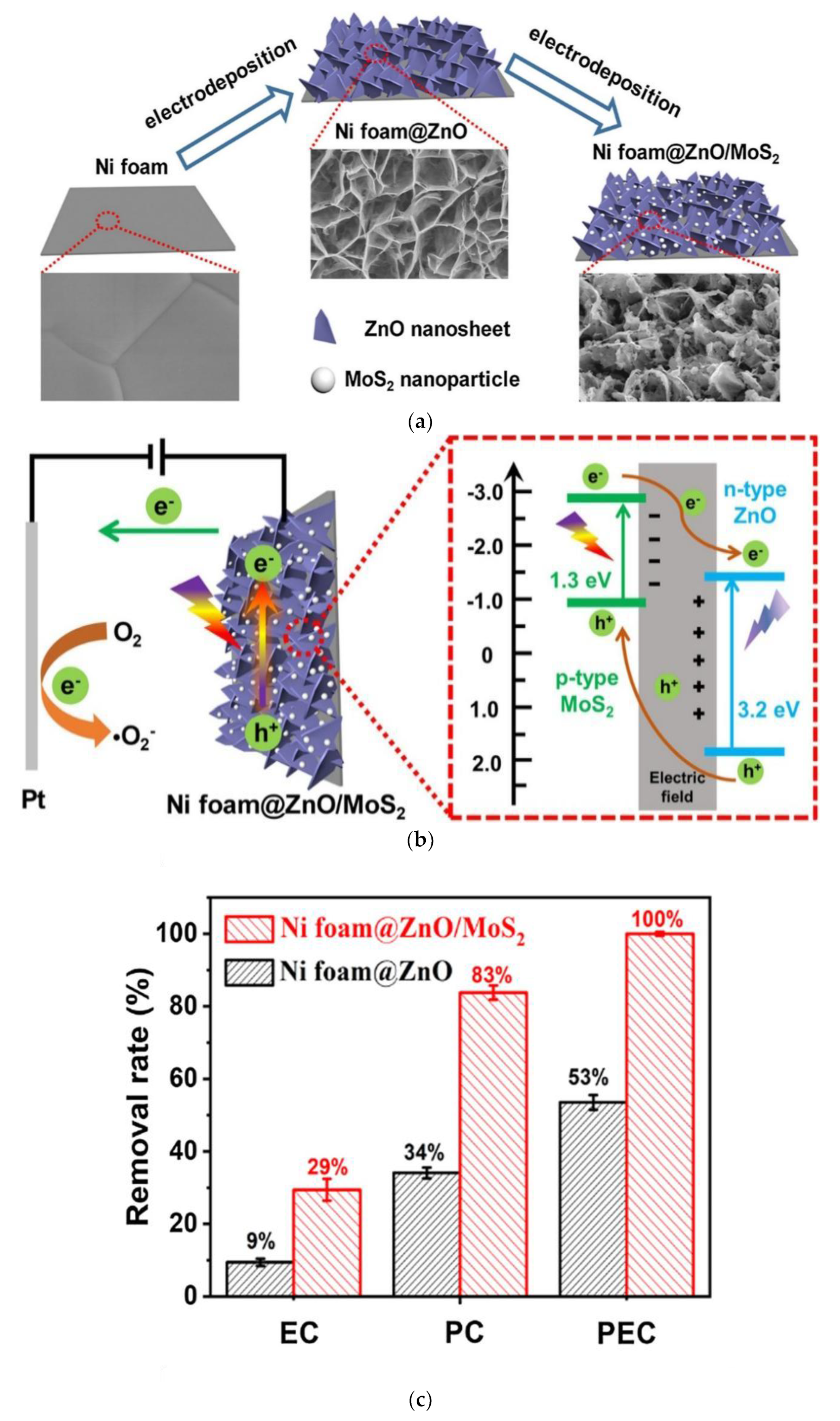 Coatings 13 00159 g004 Coatings 13 00159 g004