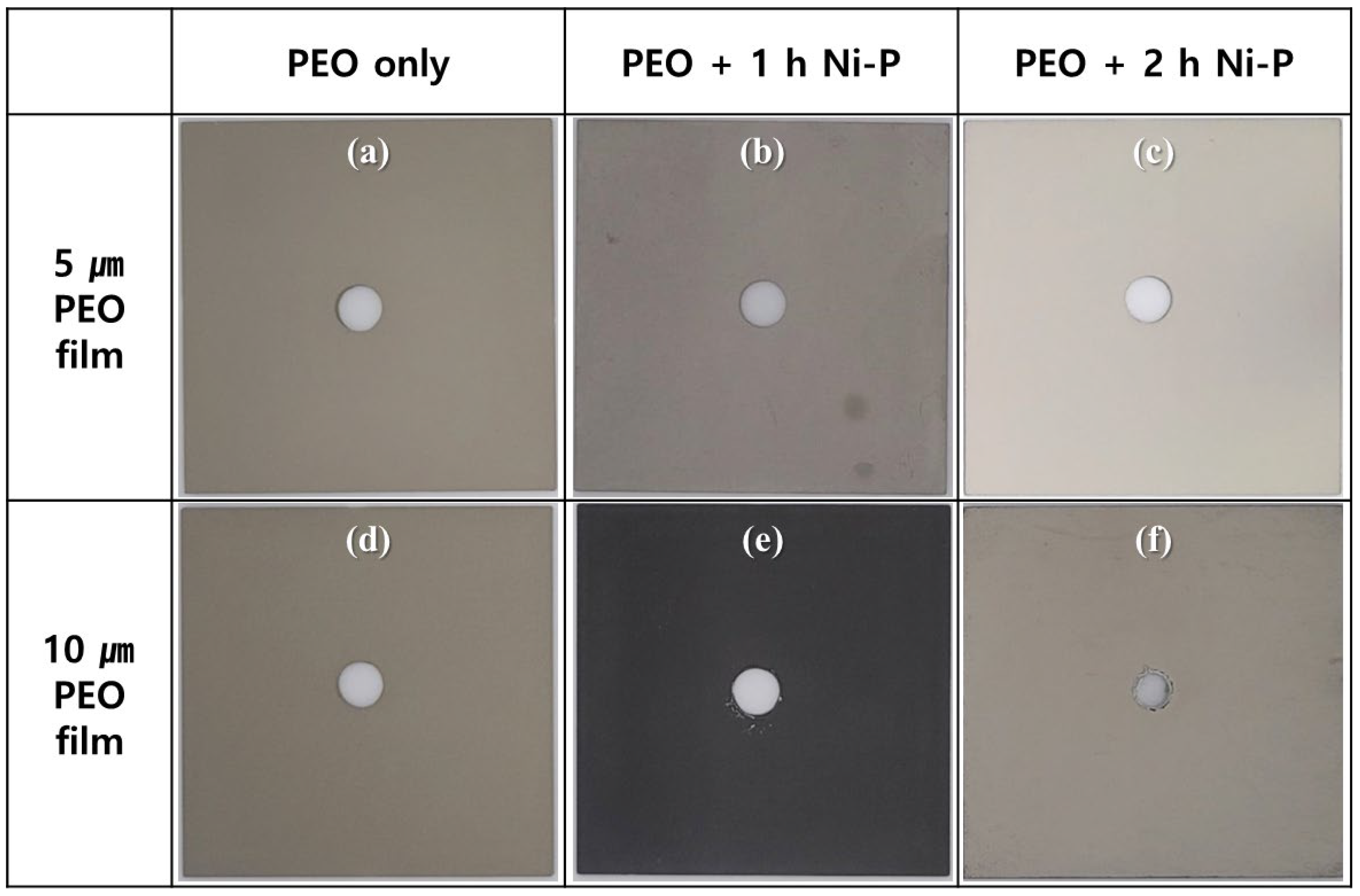 Coatings 13 00160 g001