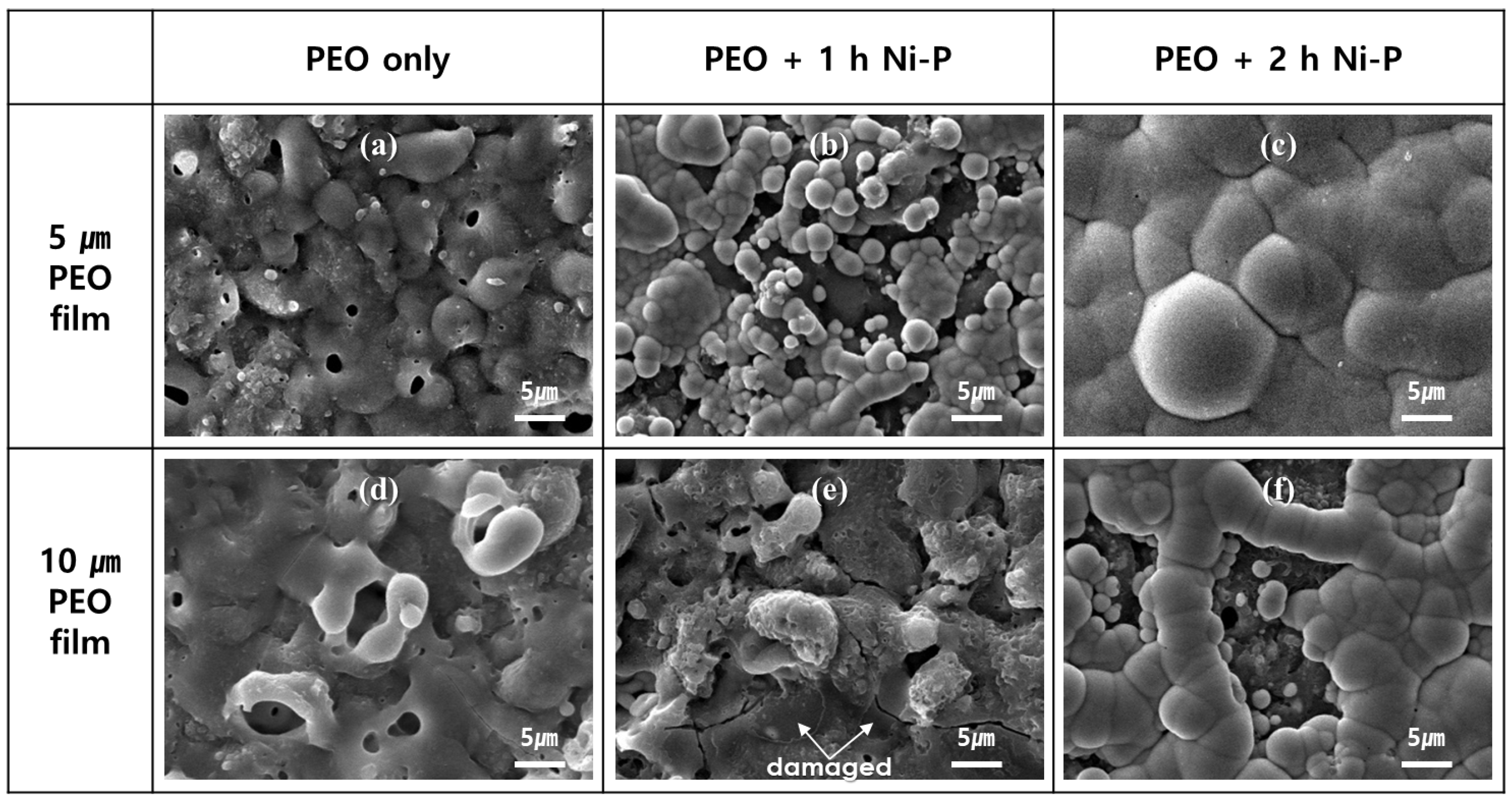 Coatings 13 00160 g002