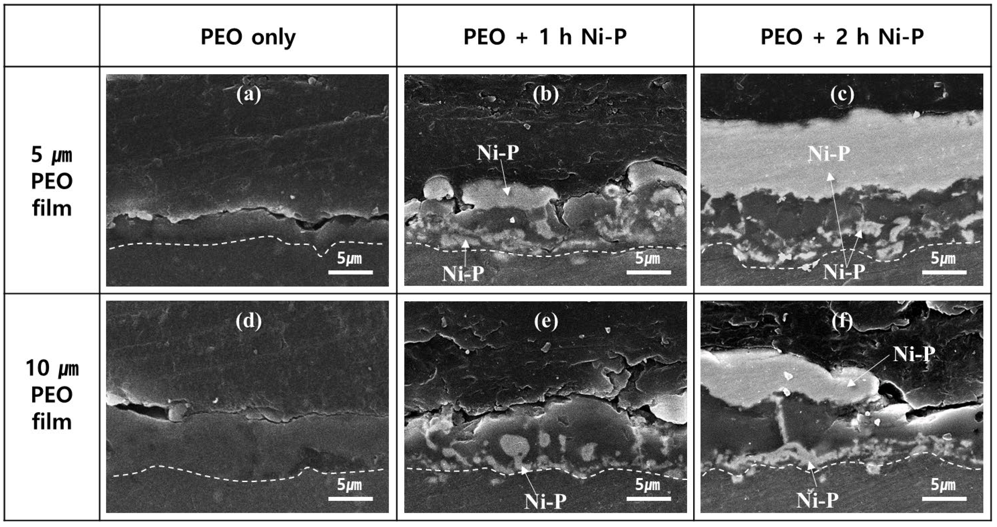 Coatings 13 00160 g003