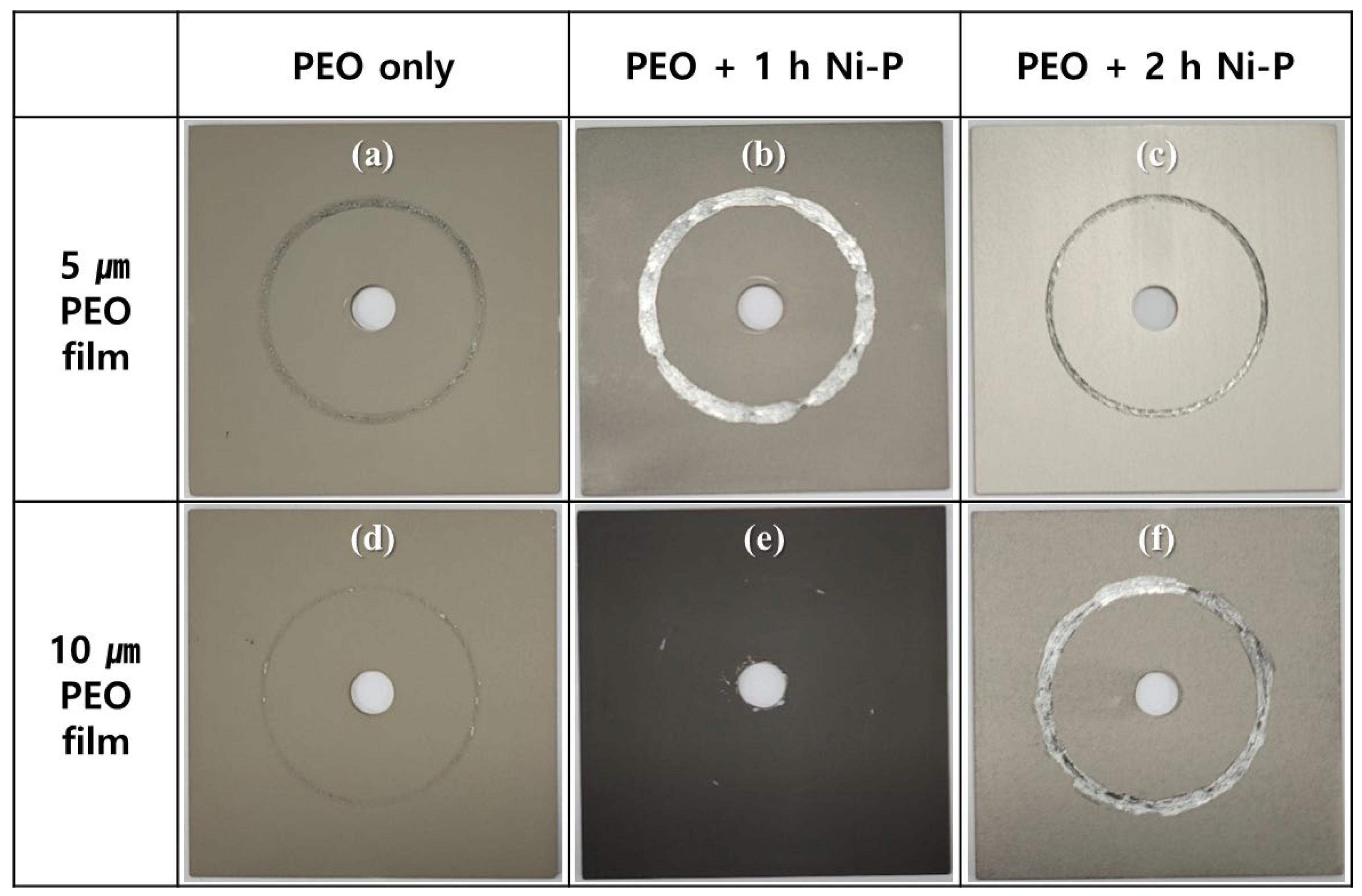 Coatings 13 00160 g005