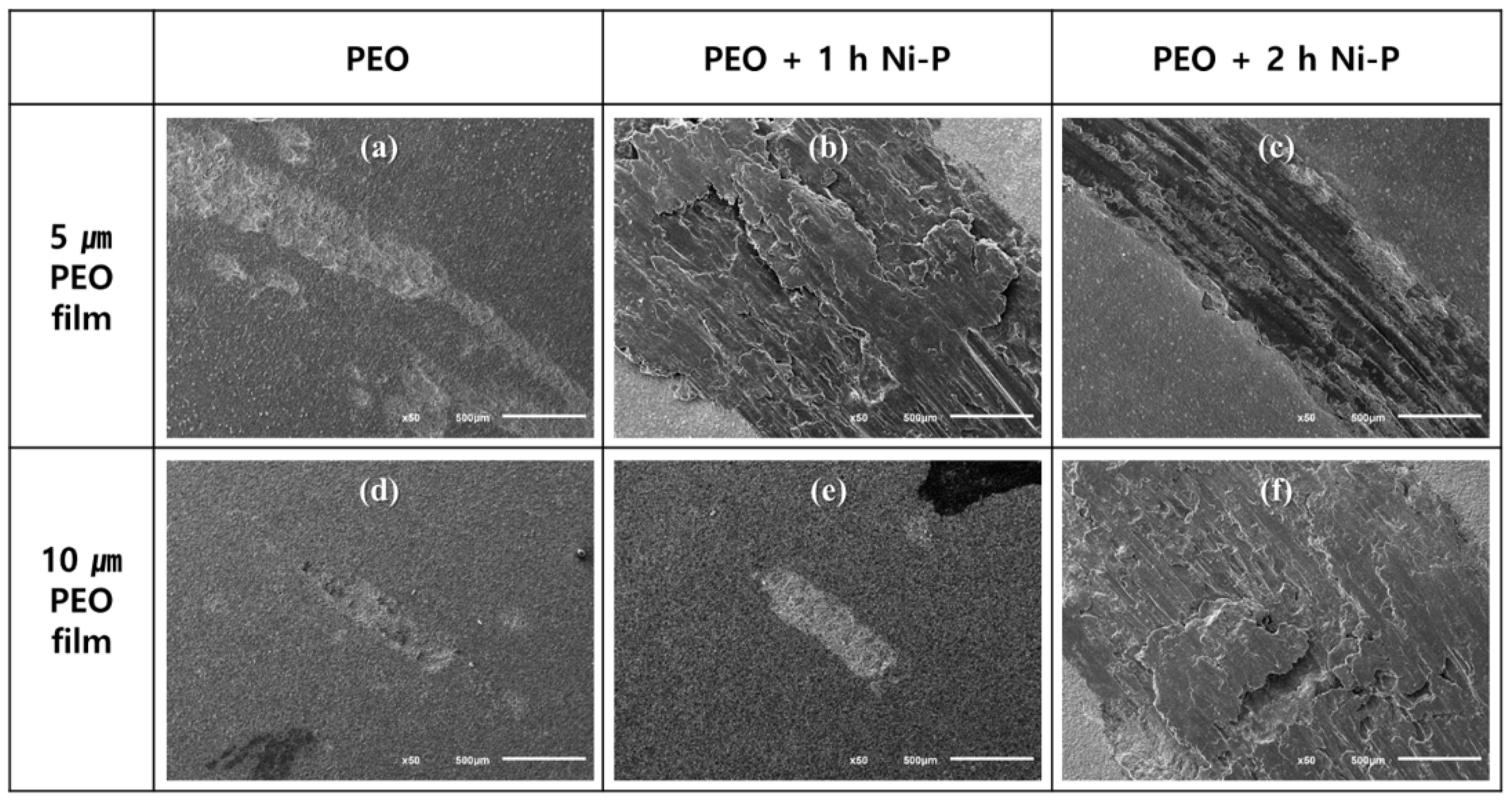 Coatings 13 00160 g006