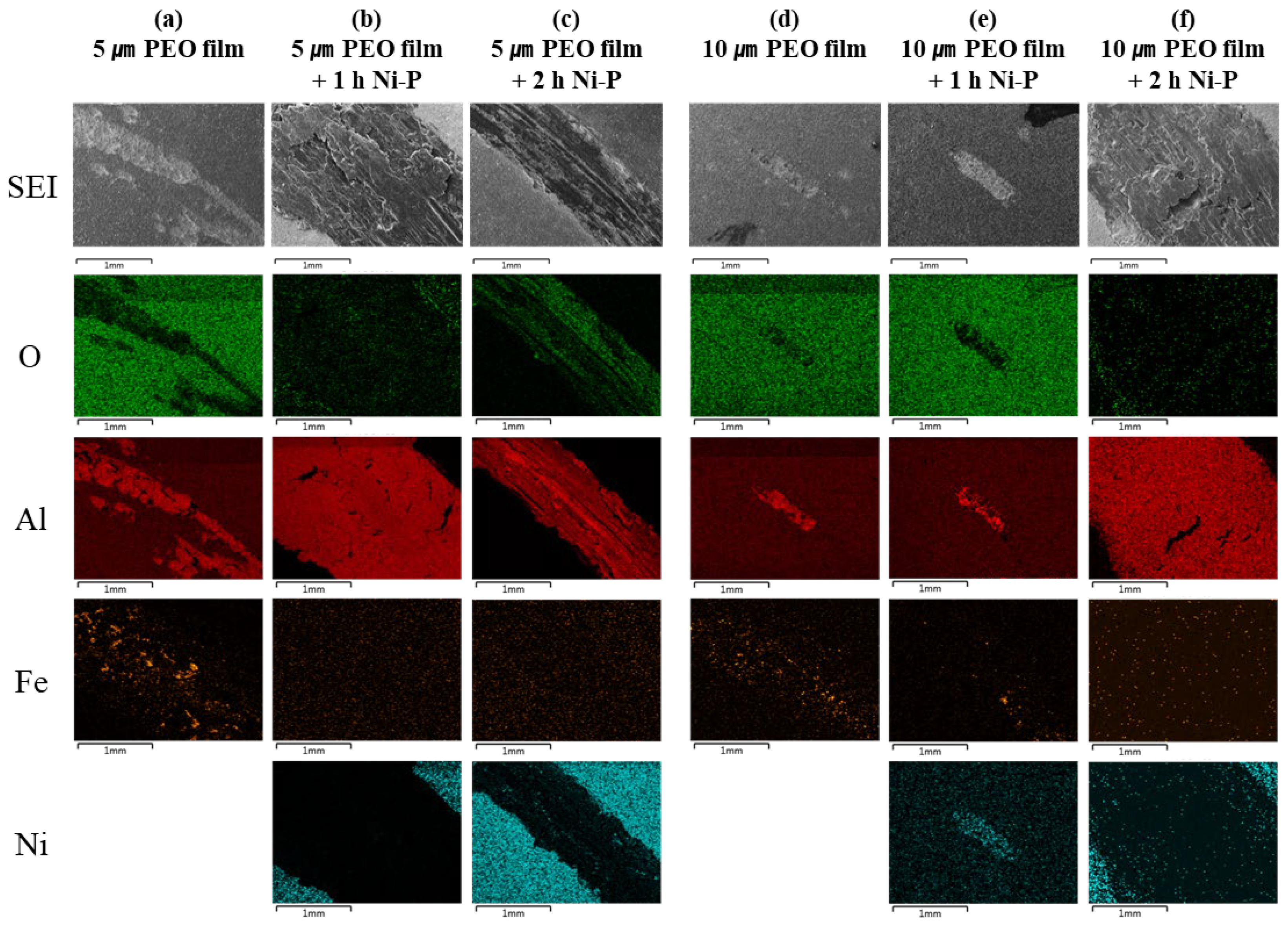 Coatings 13 00160 g007