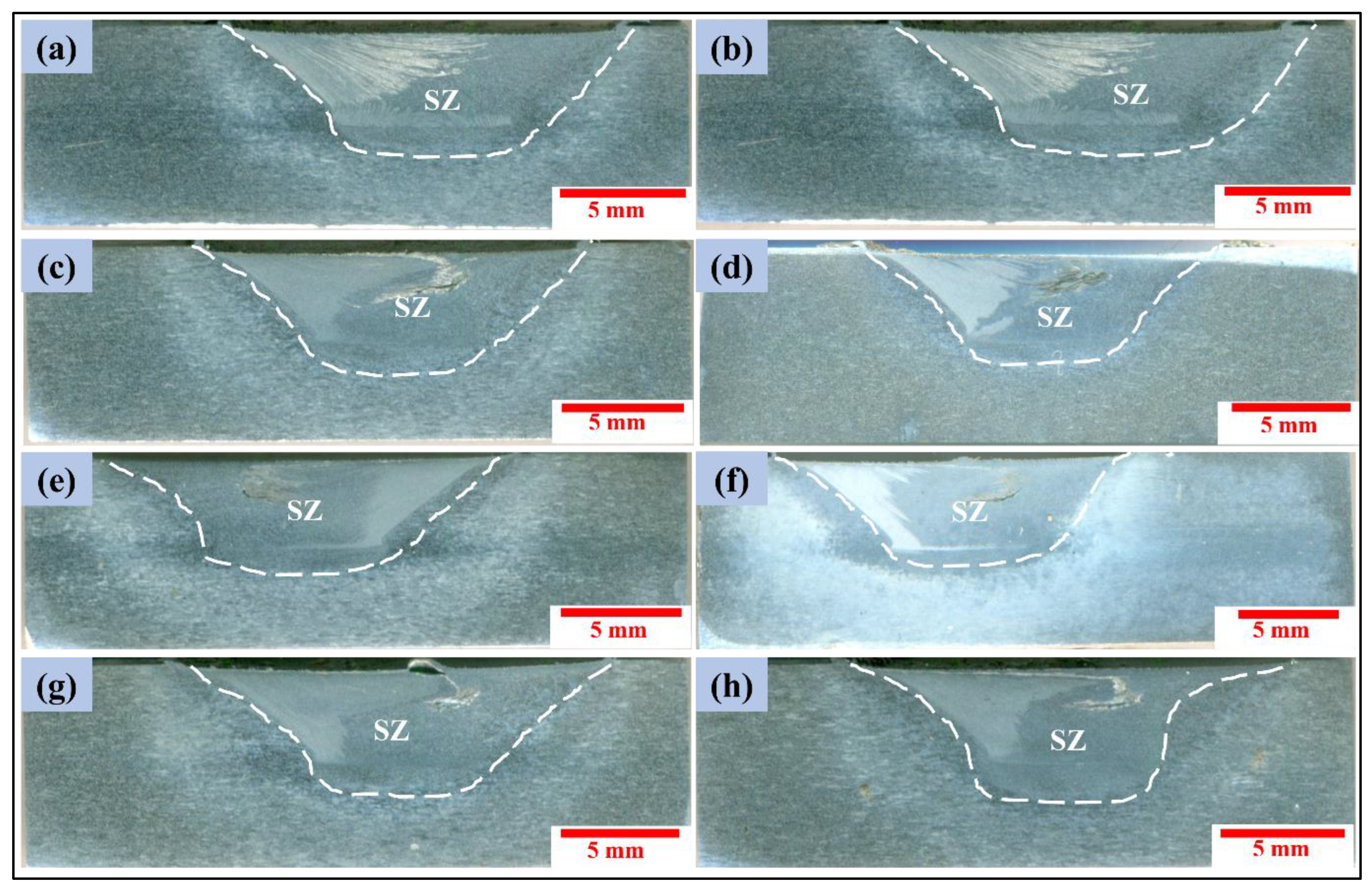 Coatings 13 00162 g002