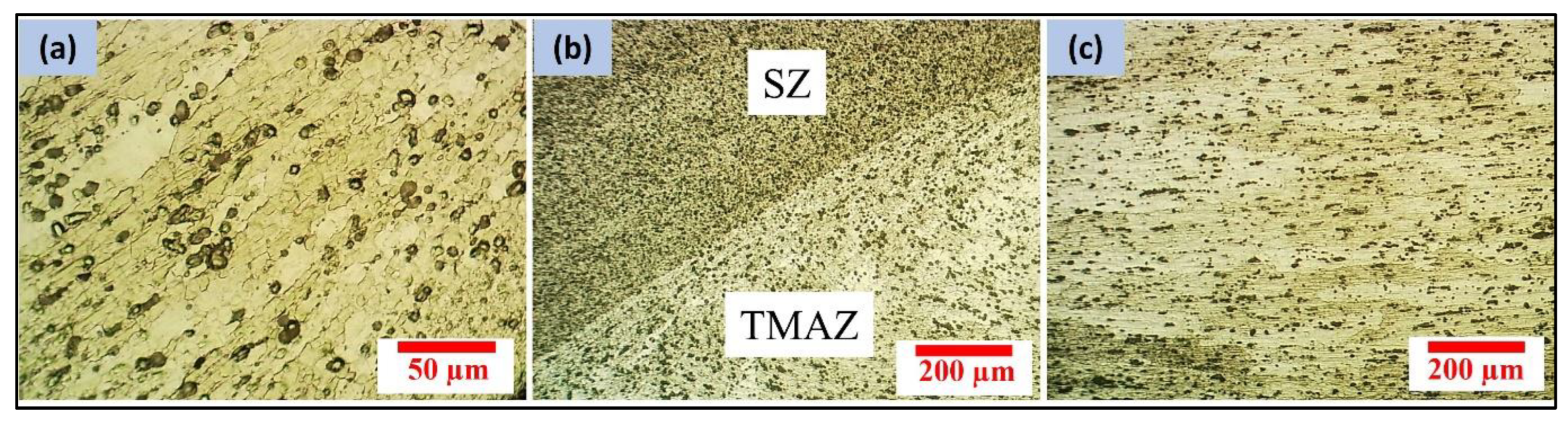 Coatings 13 00162 g004