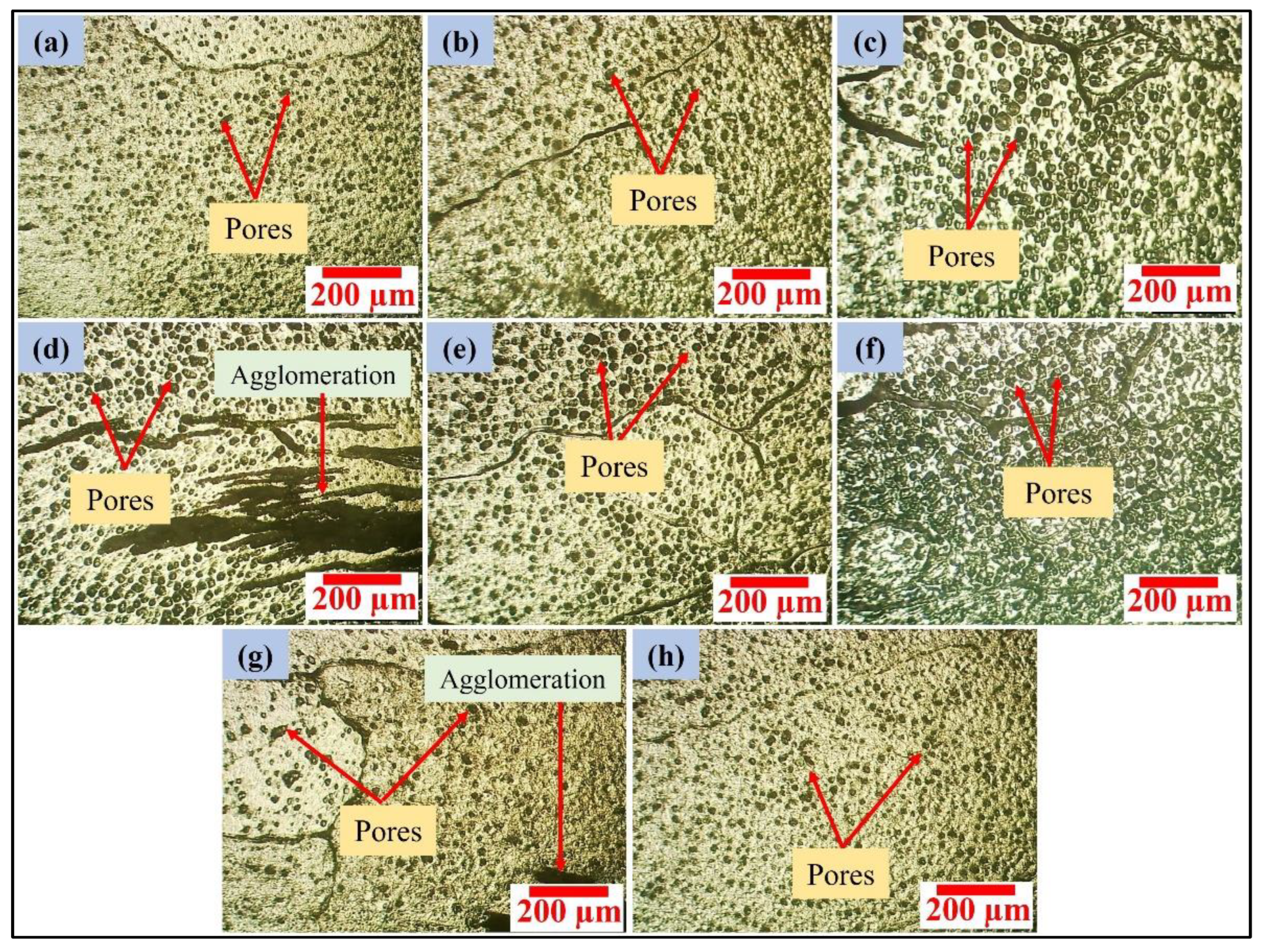 Coatings 13 00162 g006