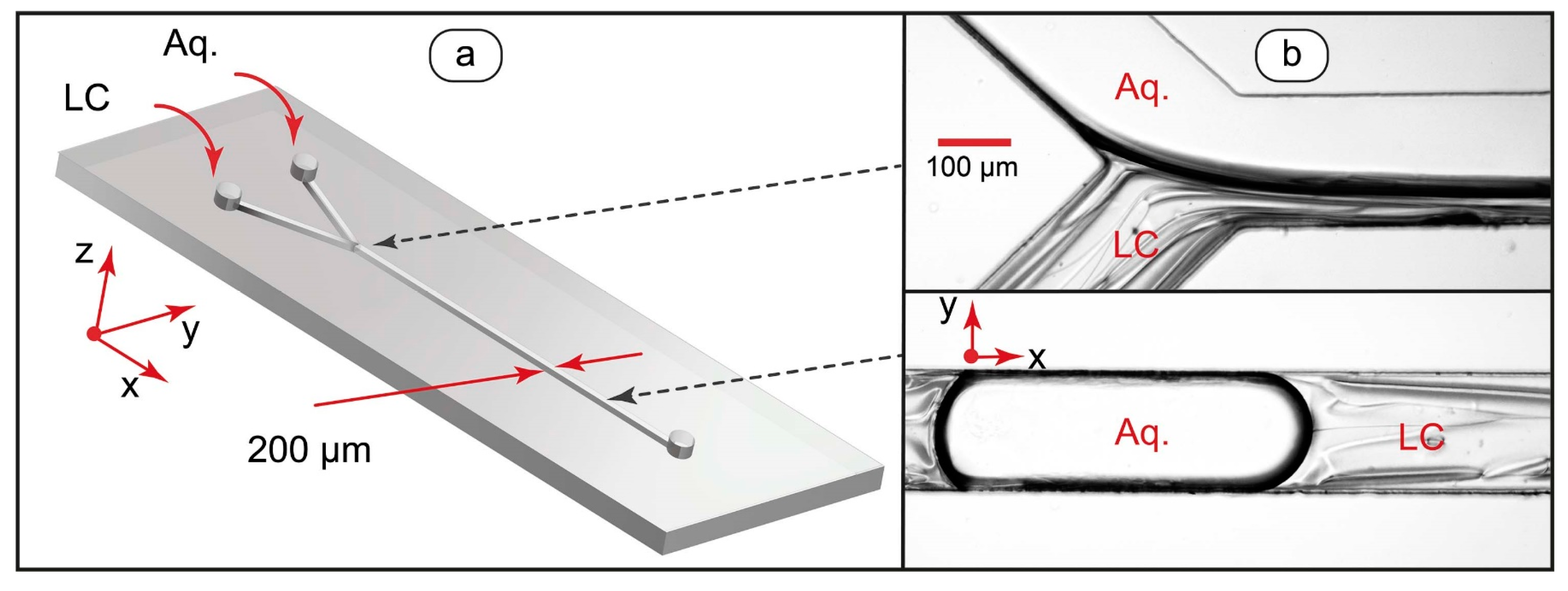 Coatings 13 00169 g001 Coatings 13 00169 g001