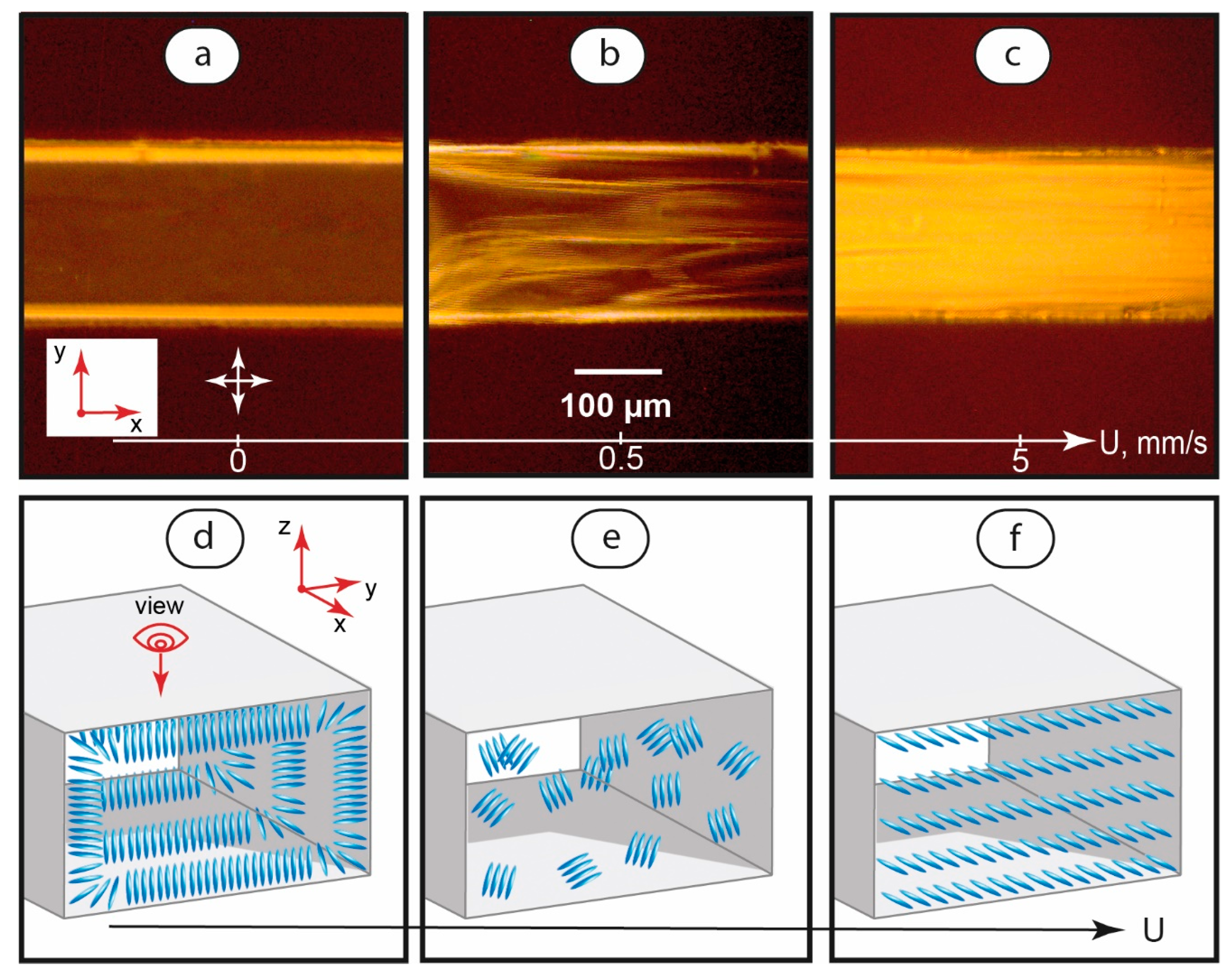 Coatings 13 00169 g002 Coatings 13 00169 g002