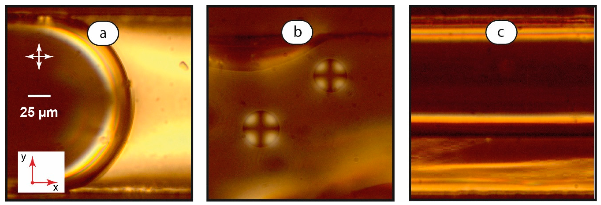 Coatings 13 00169 g004 Coatings 13 00169 g004