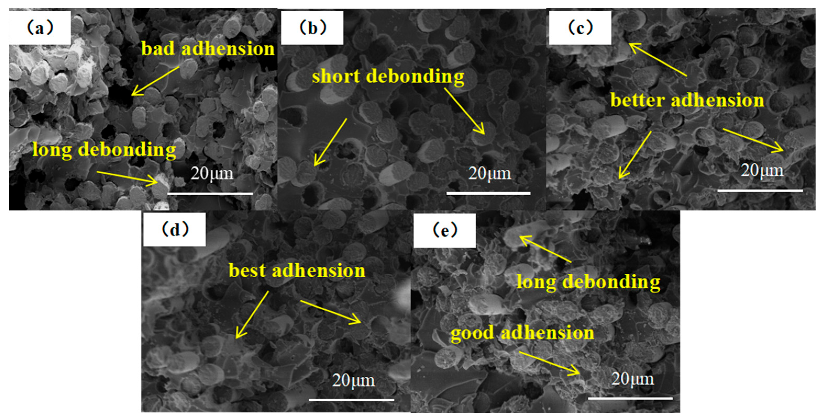Coatings 13 00170 g010 Coatings 13 00170 g010