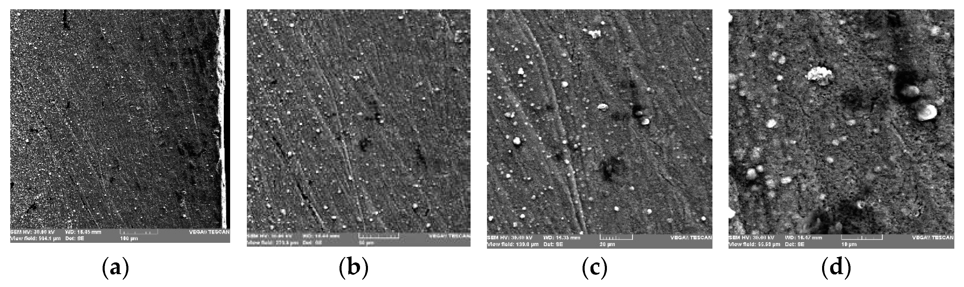 Coatings 13 00177 g012
