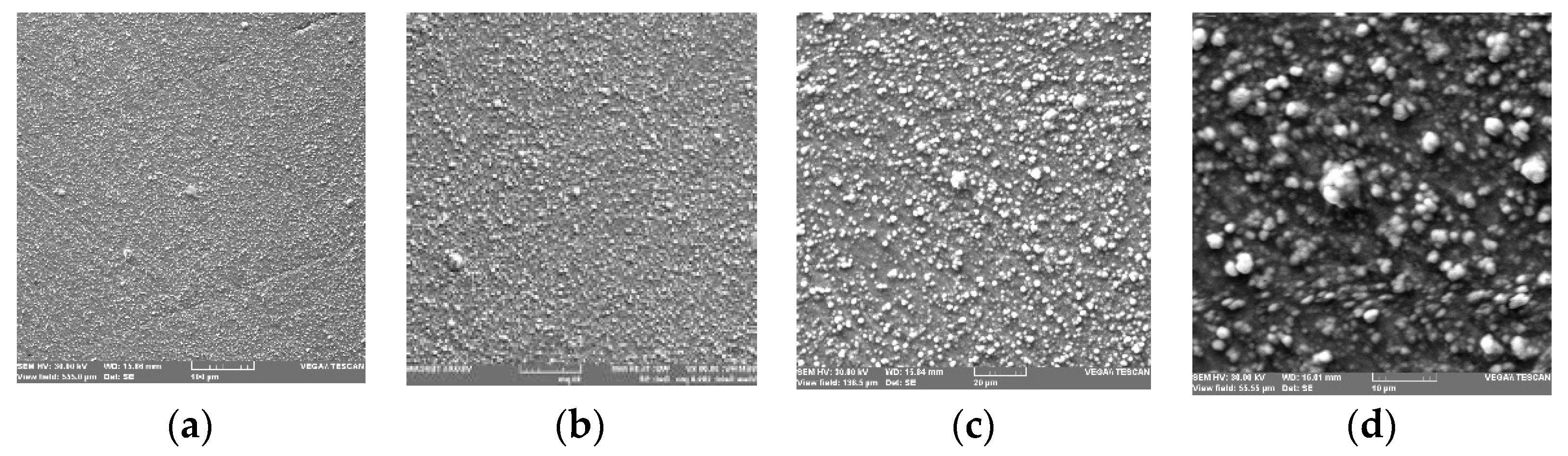 Coatings 13 00177 g013