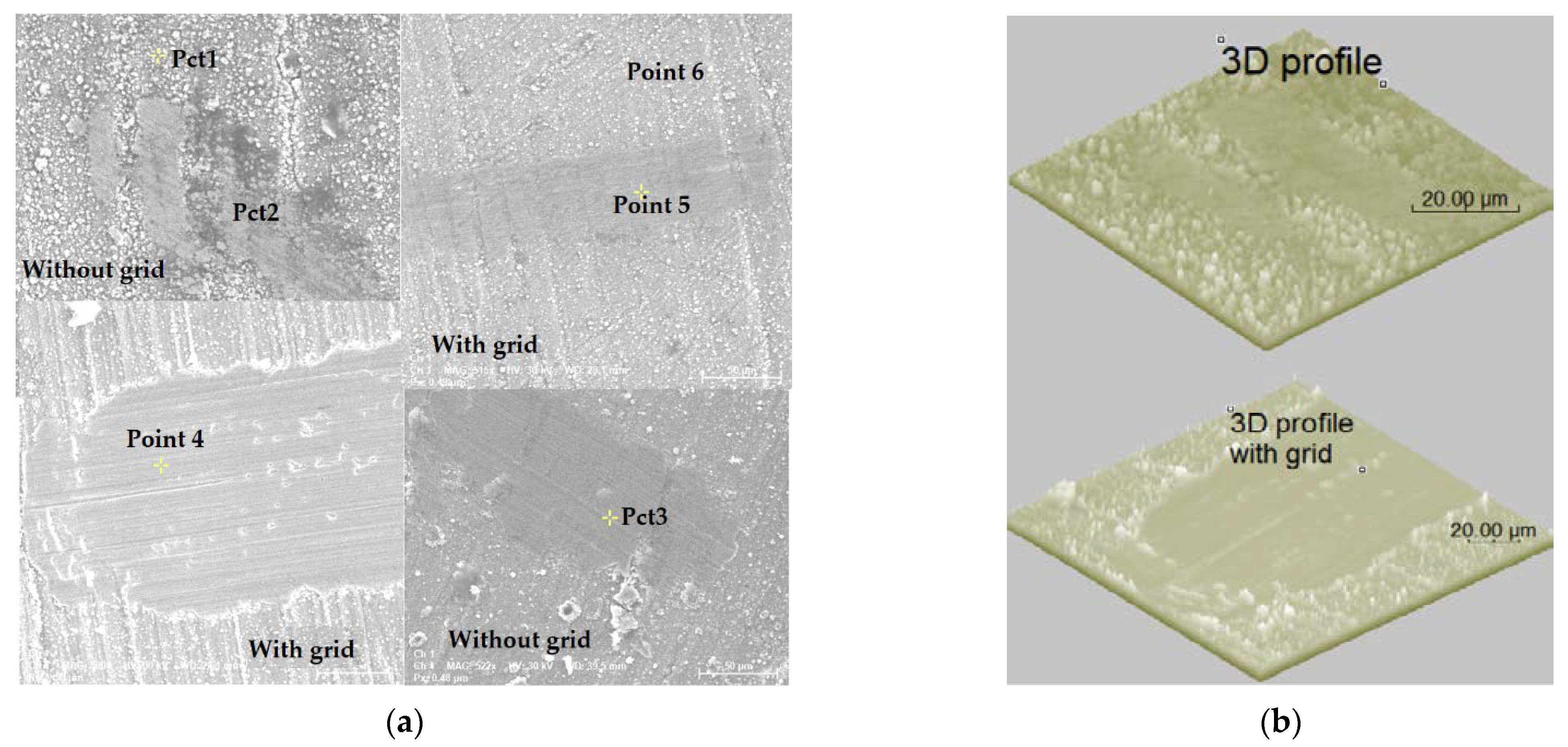 Coatings 13 00177 g016