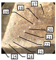 Coatings 13 00177 i003