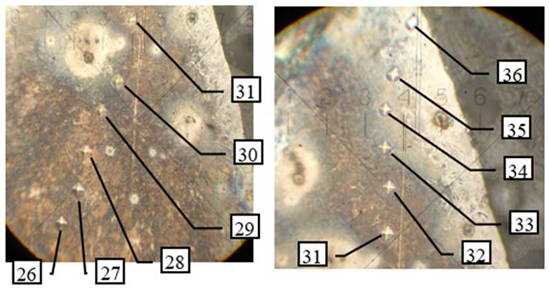 Coatings 13 00177 i004