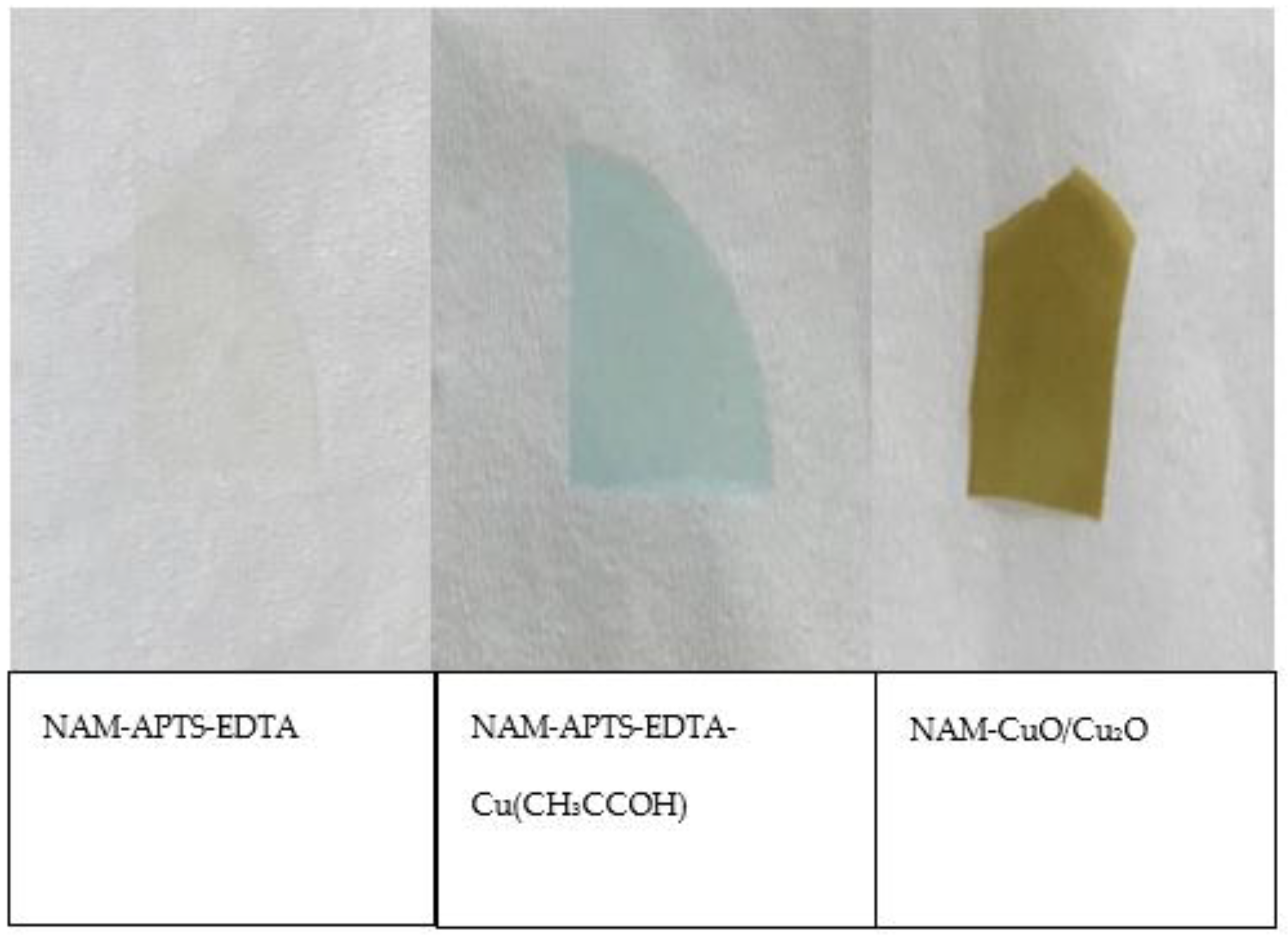 Coatings 13 00179 g001