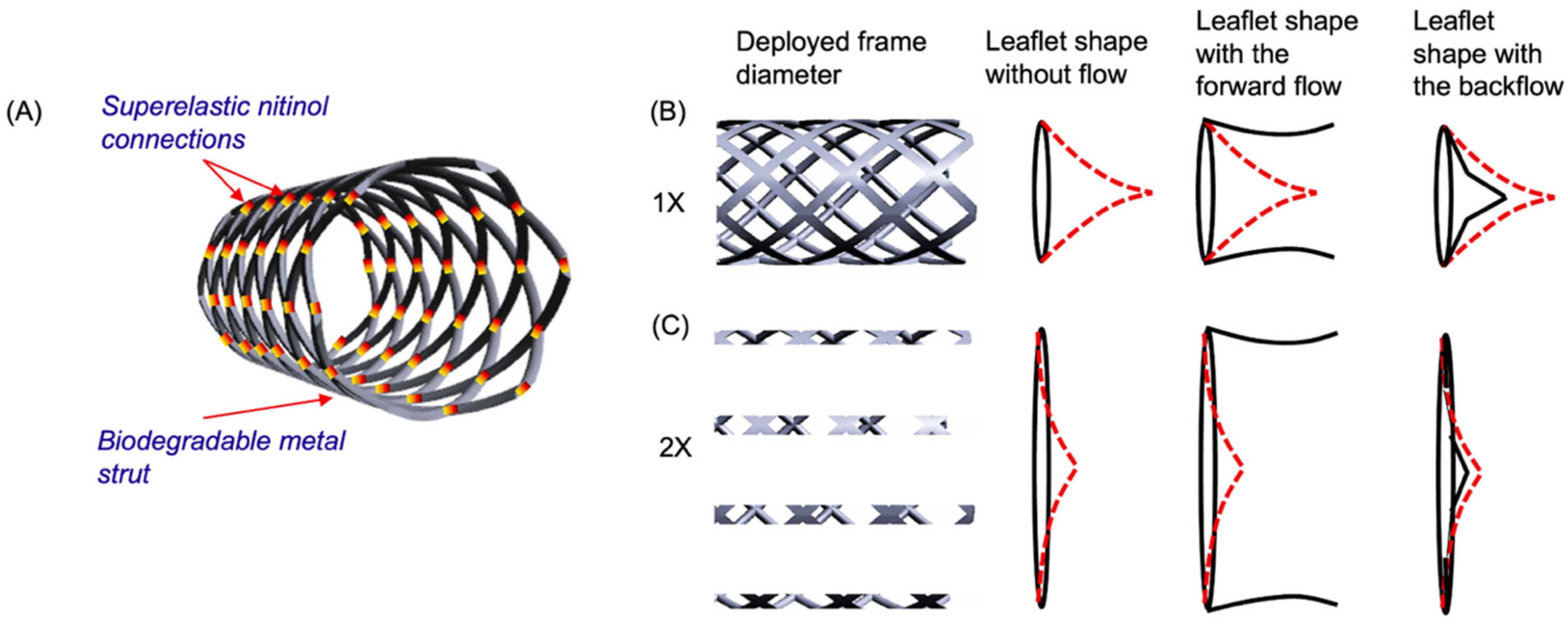 Coatings 13 00184 g001 Coatings 13 00184 g001