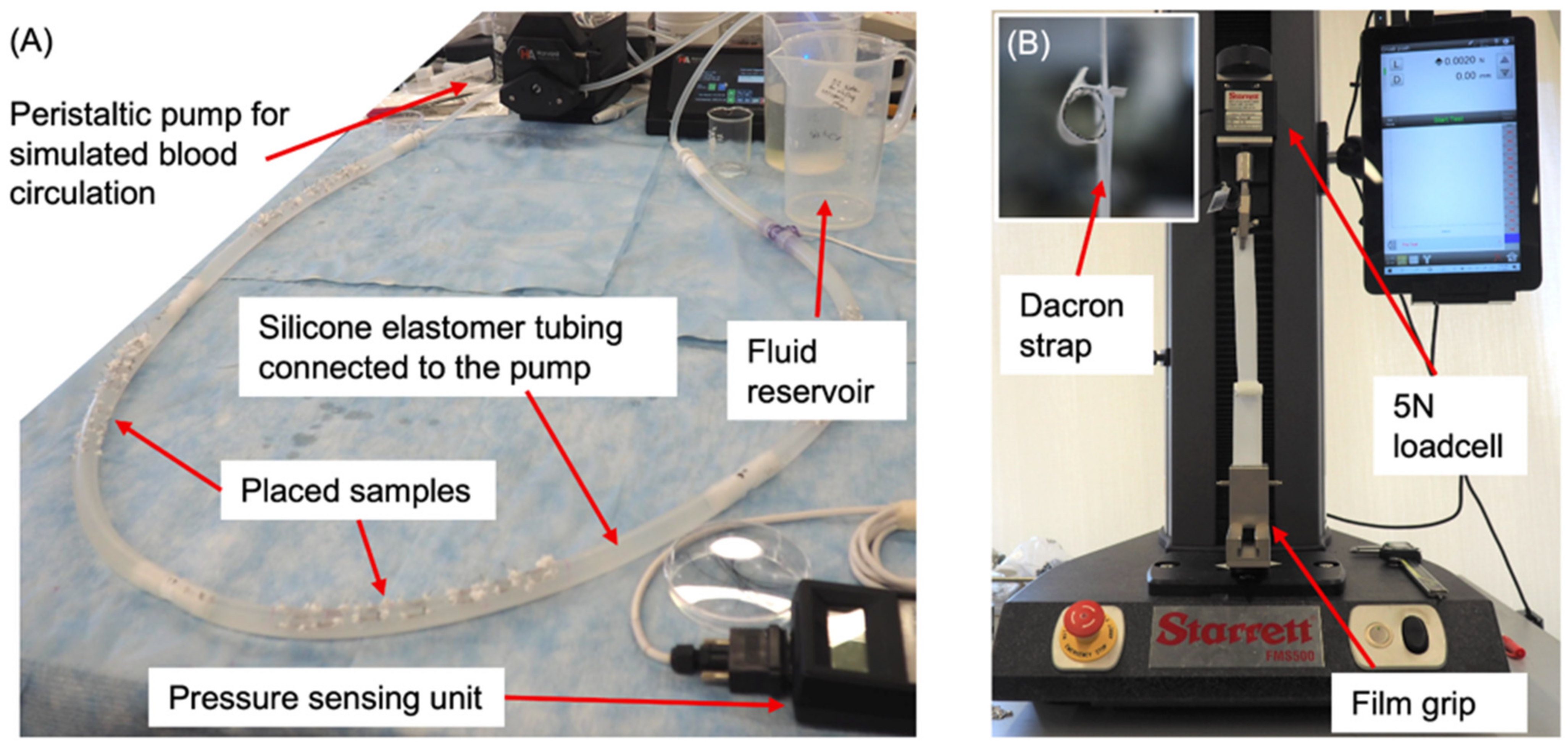 Coatings 13 00184 g003 Coatings 13 00184 g003
