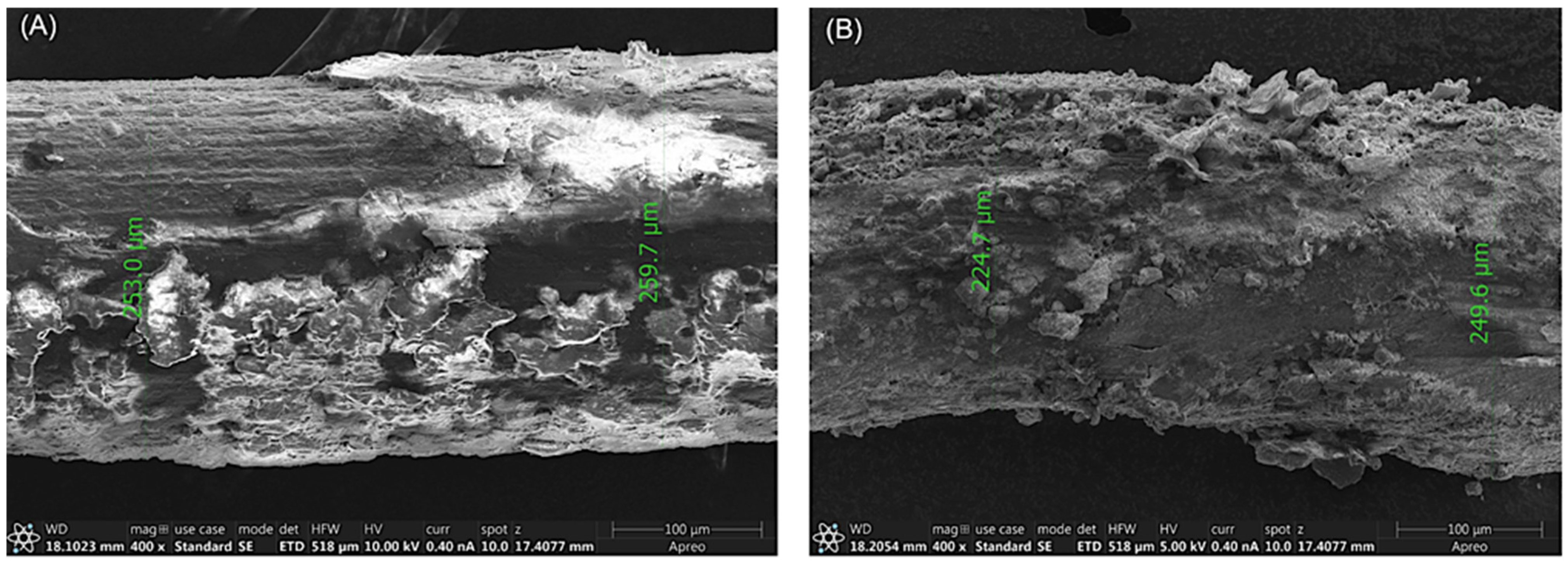 Coatings 13 00184 g006 Coatings 13 00184 g006