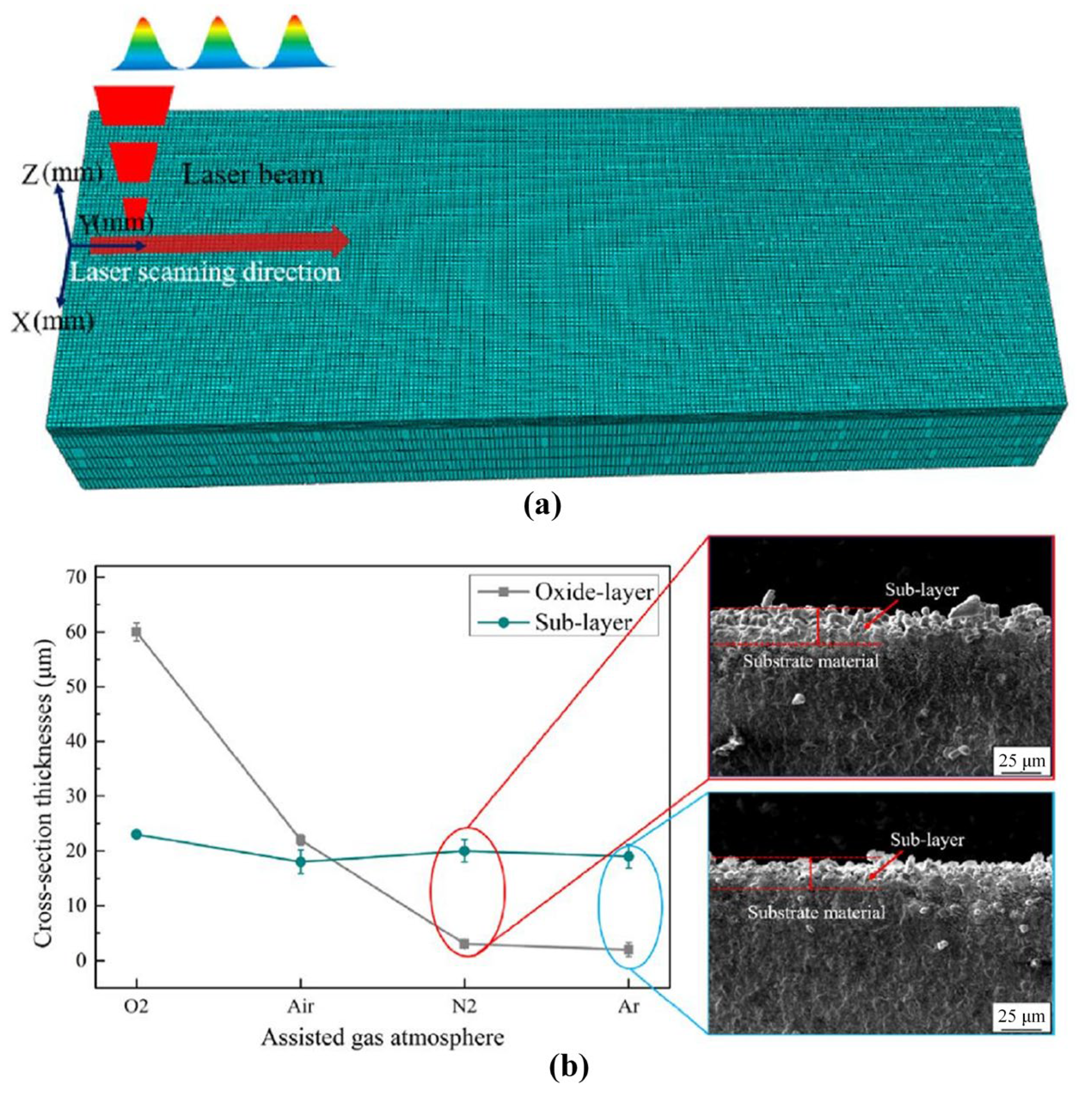 Coatings 13 00187 g004