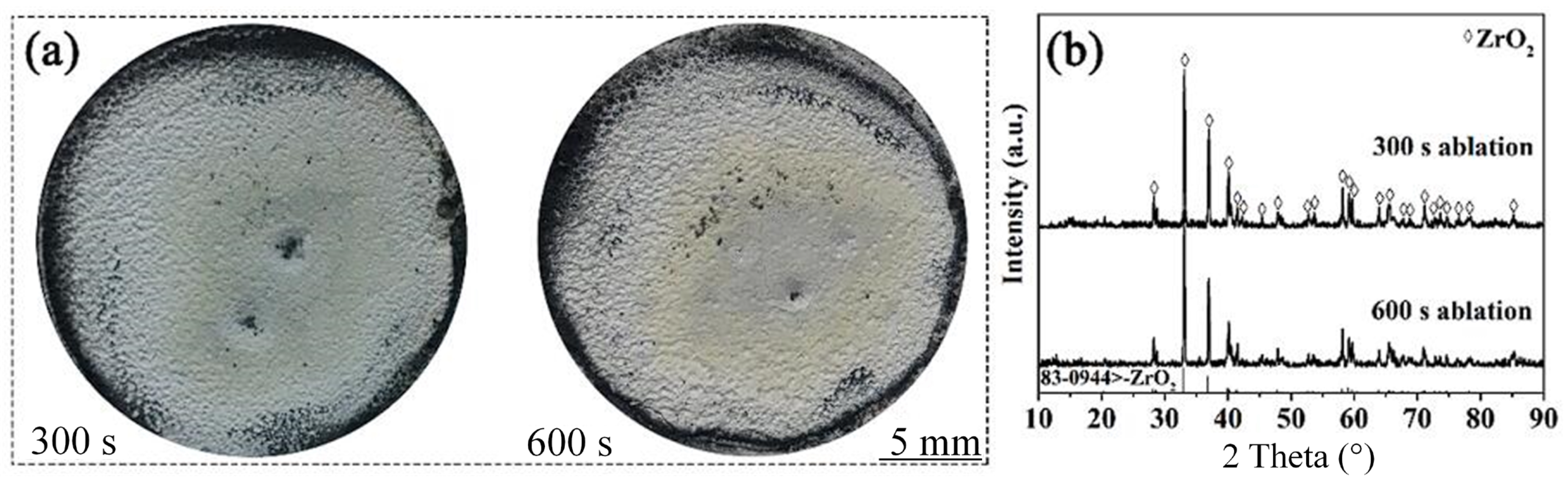 Coatings 13 00187 g005