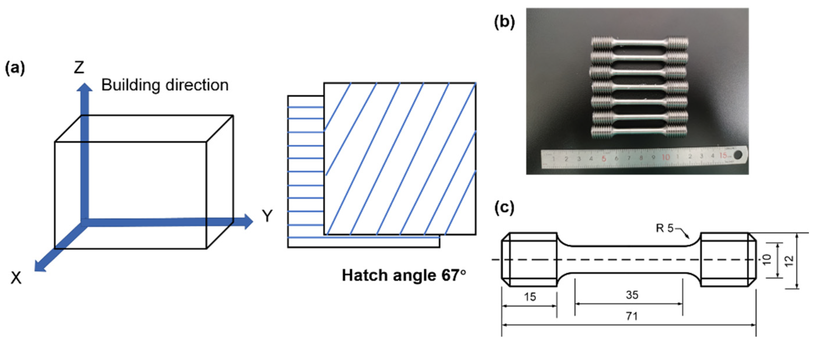 Coatings 13 00189 g002
