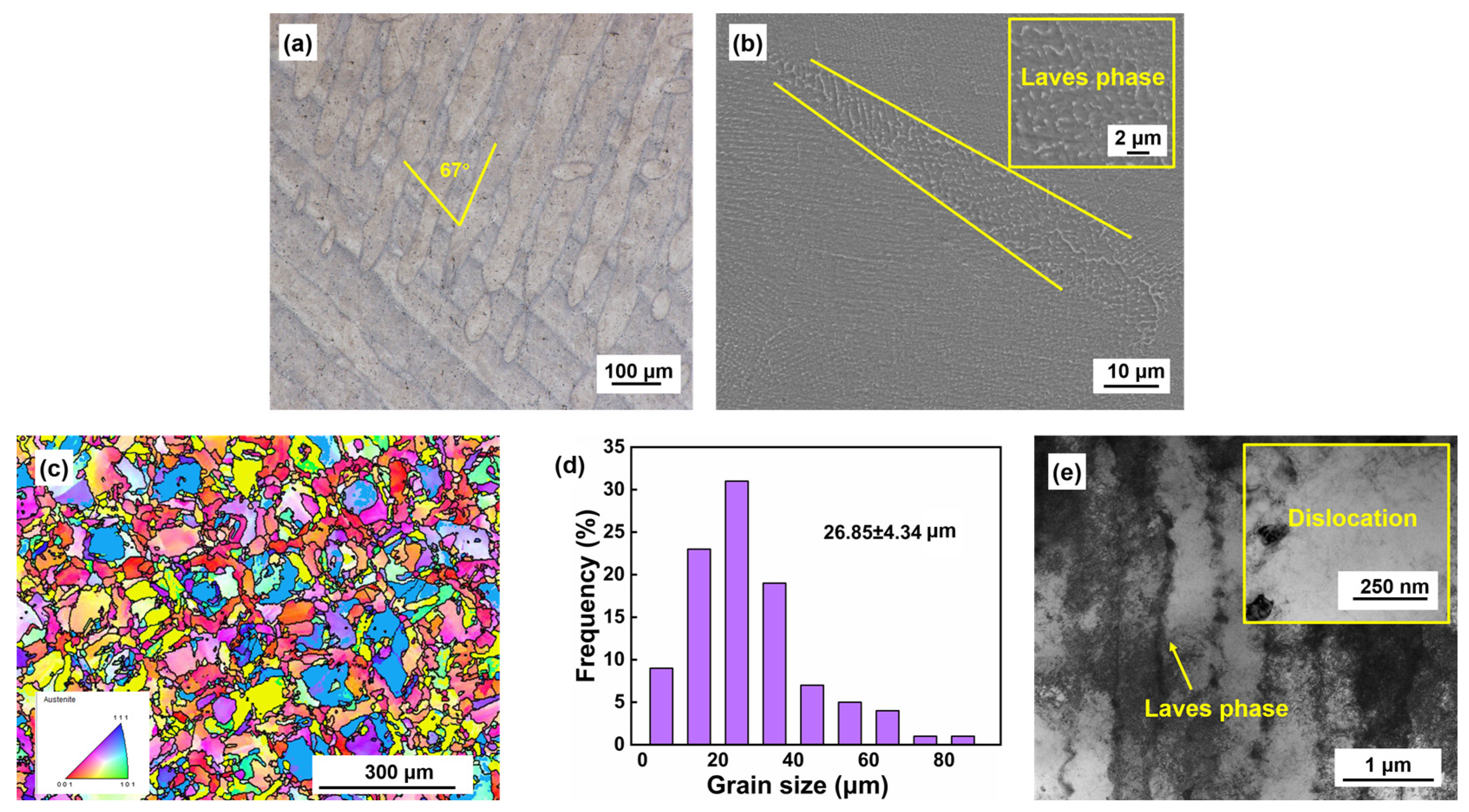 Coatings 13 00189 g006
