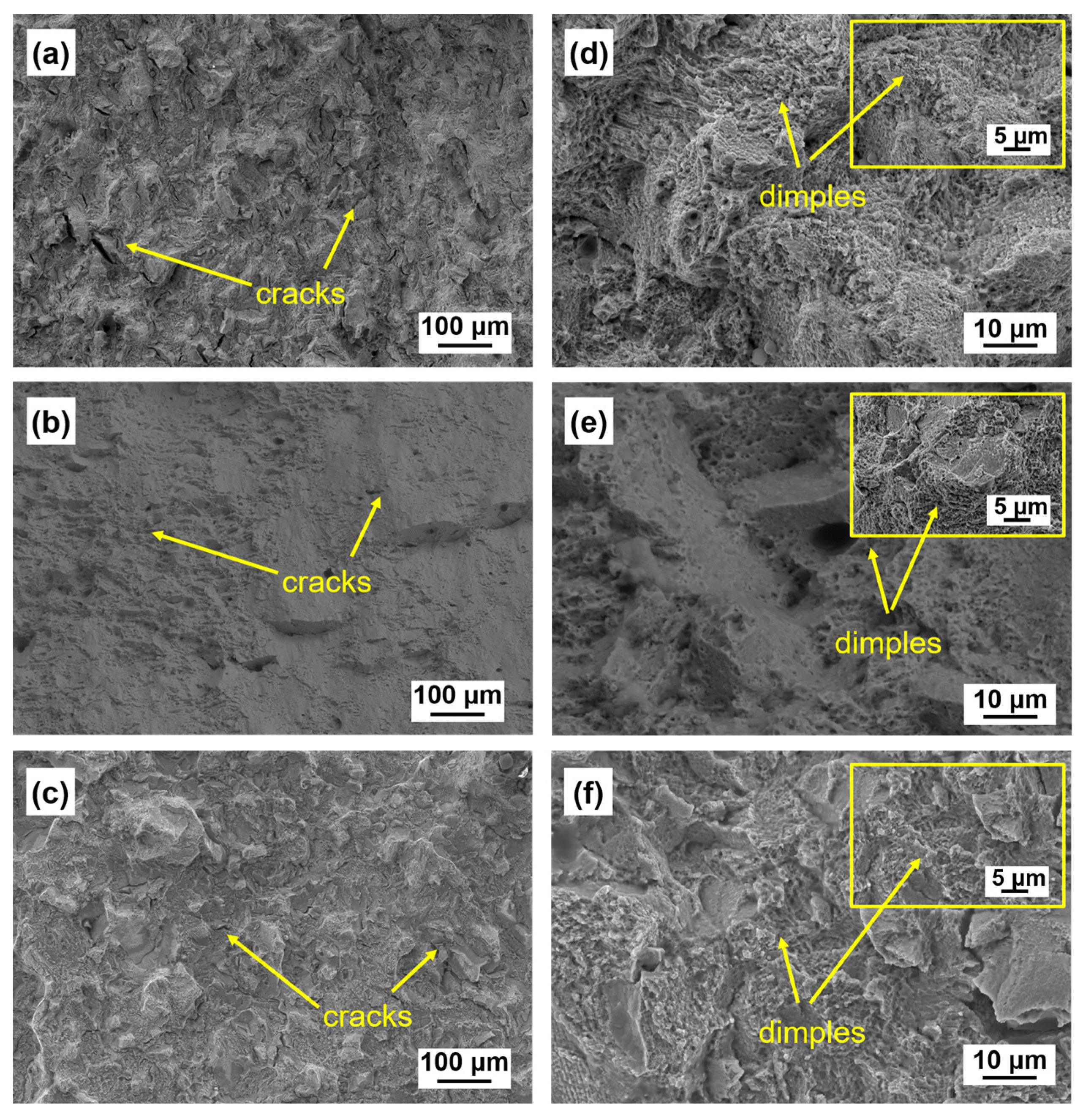 Coatings 13 00189 g010