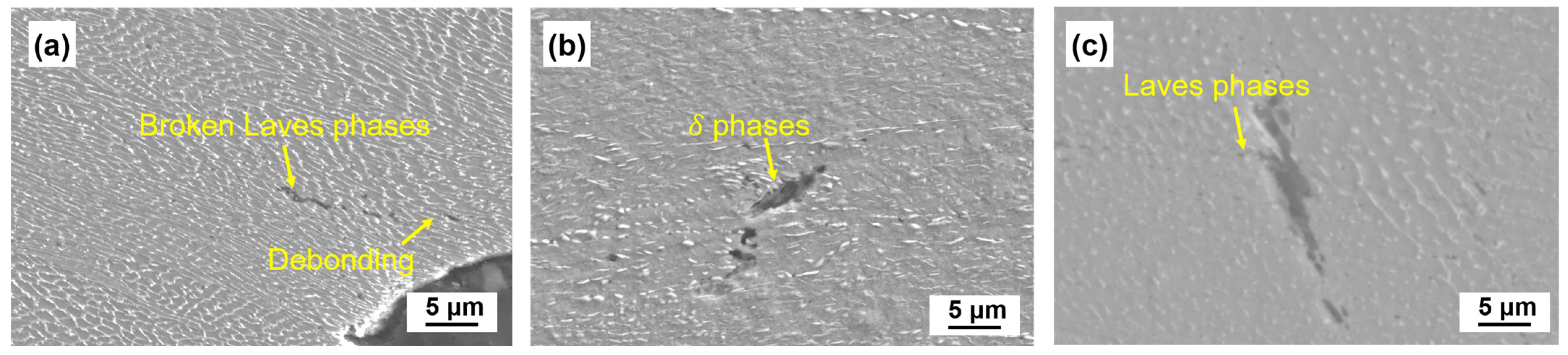 Coatings 13 00189 g011