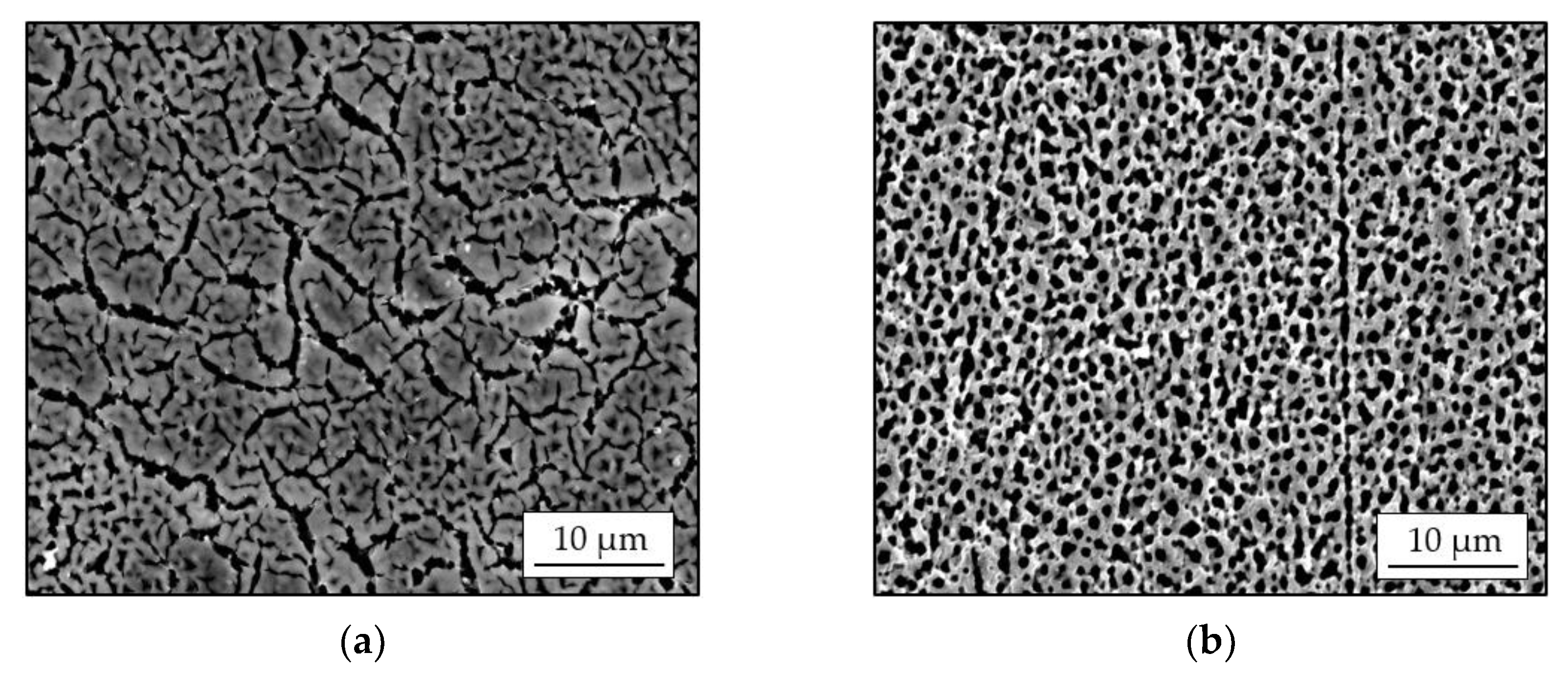 Coatings 13 00190 g001