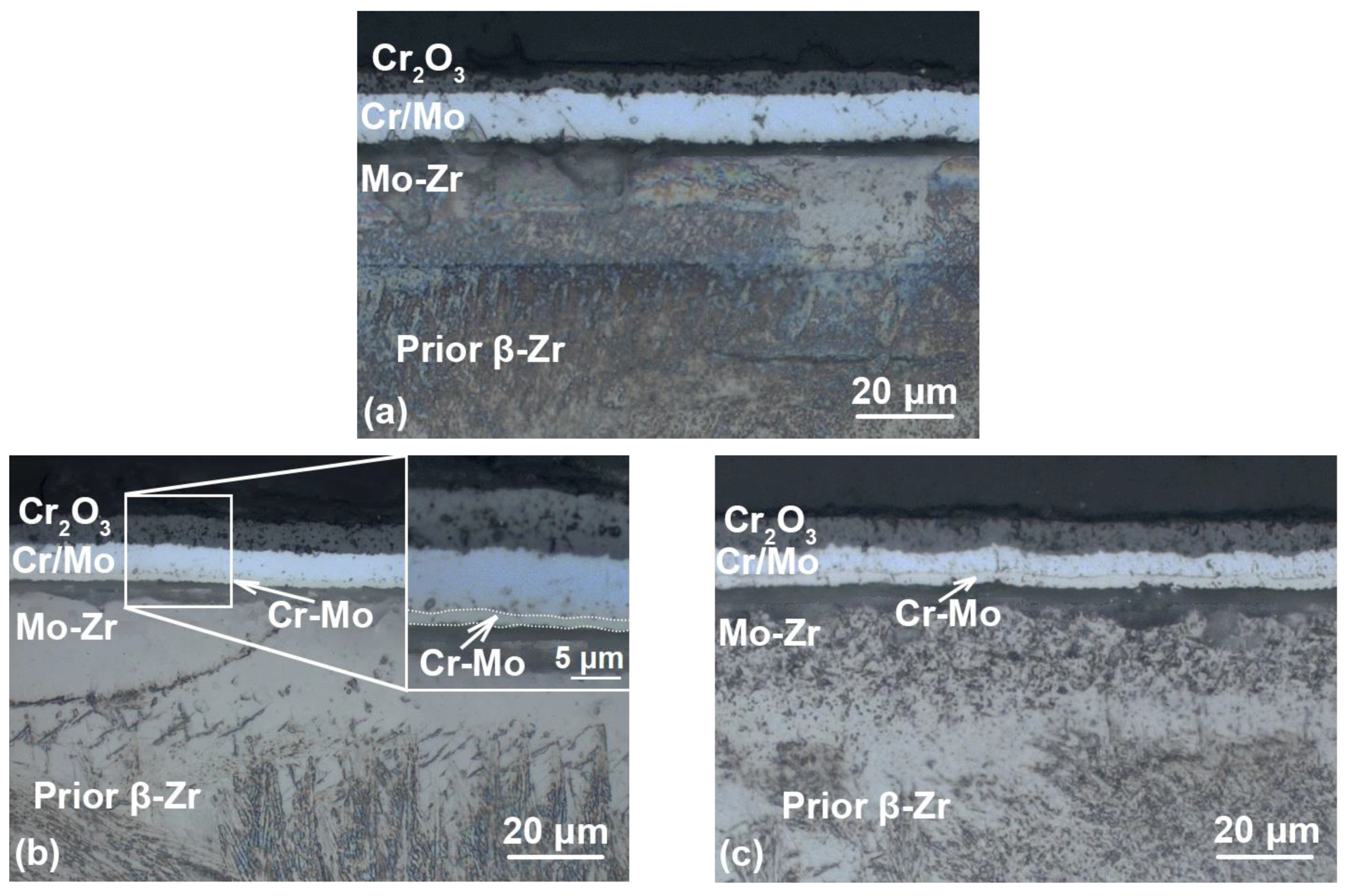 Coatings 13 00191 g005
