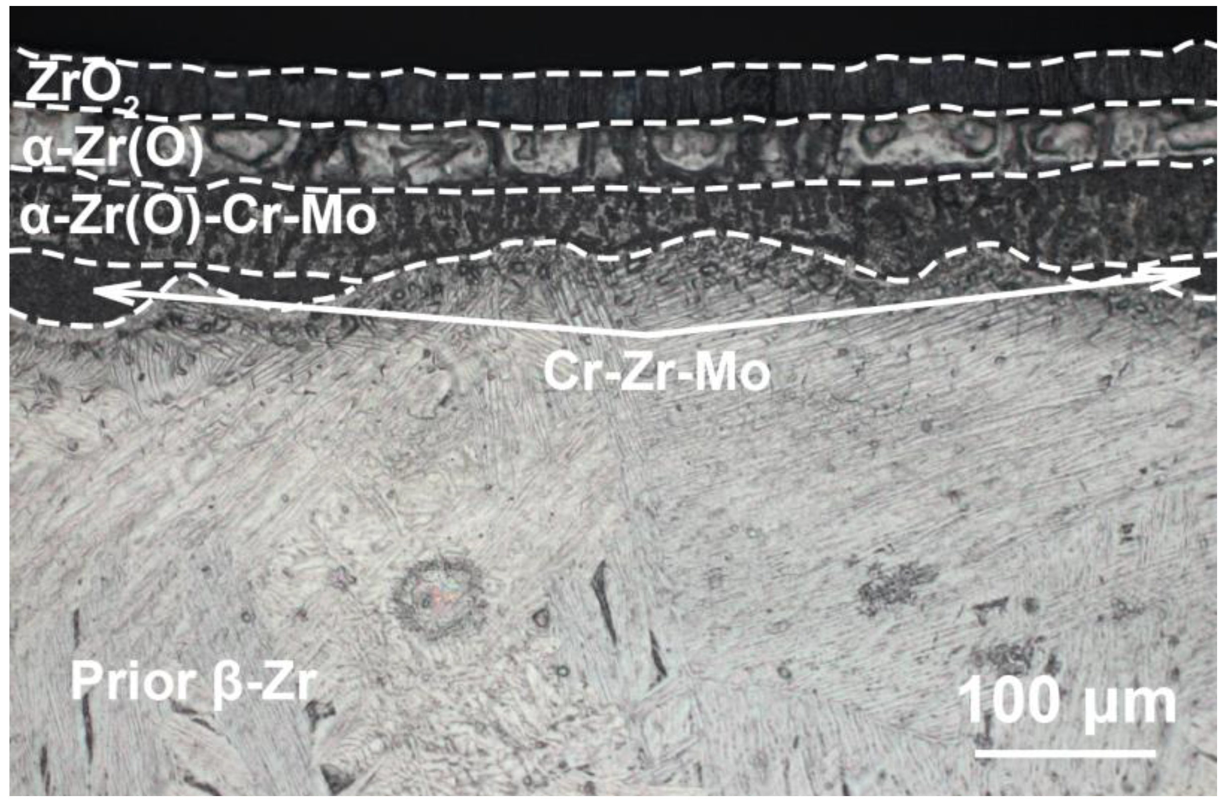 Coatings 13 00191 g006