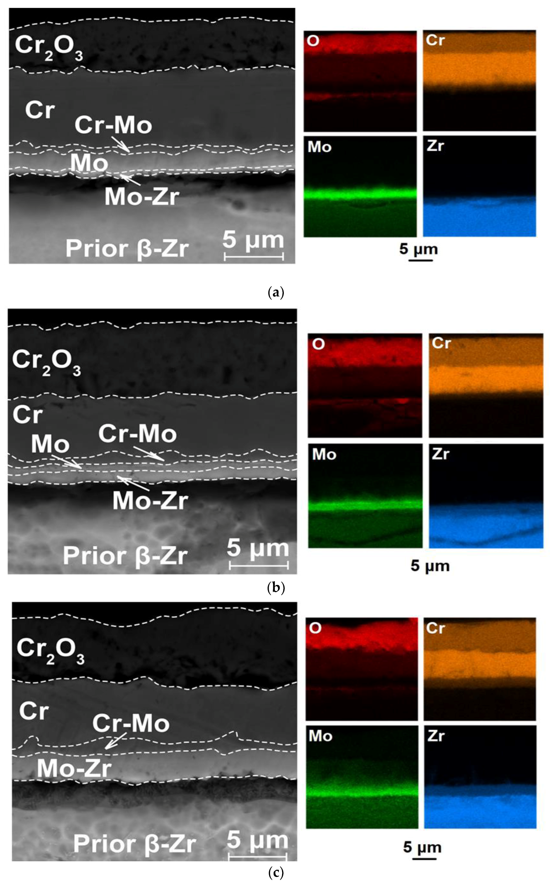 Coatings 13 00191 g008