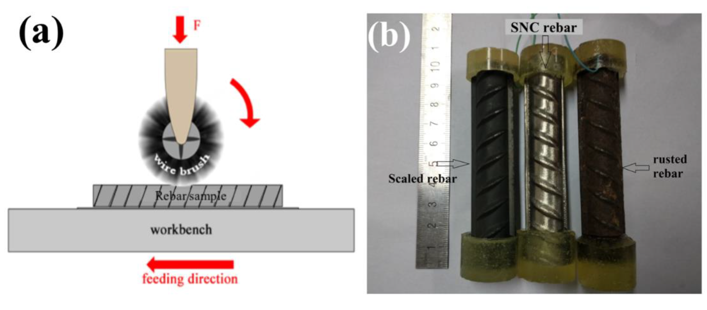 Coatings 13 00192 g001