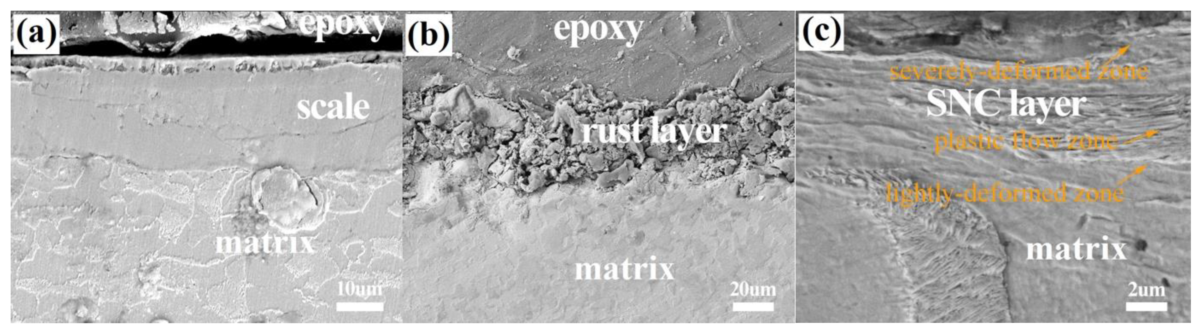 Coatings 13 00192 g002