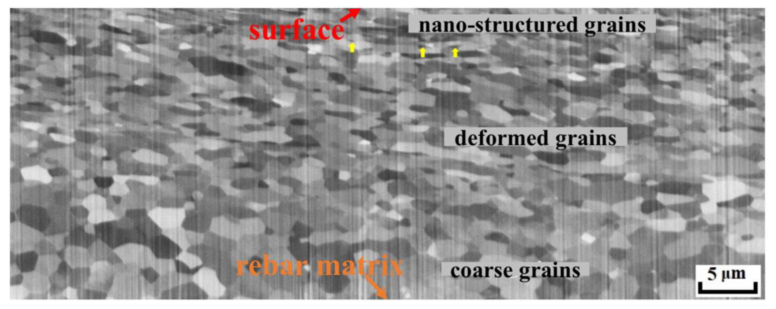 Coatings 13 00192 g011