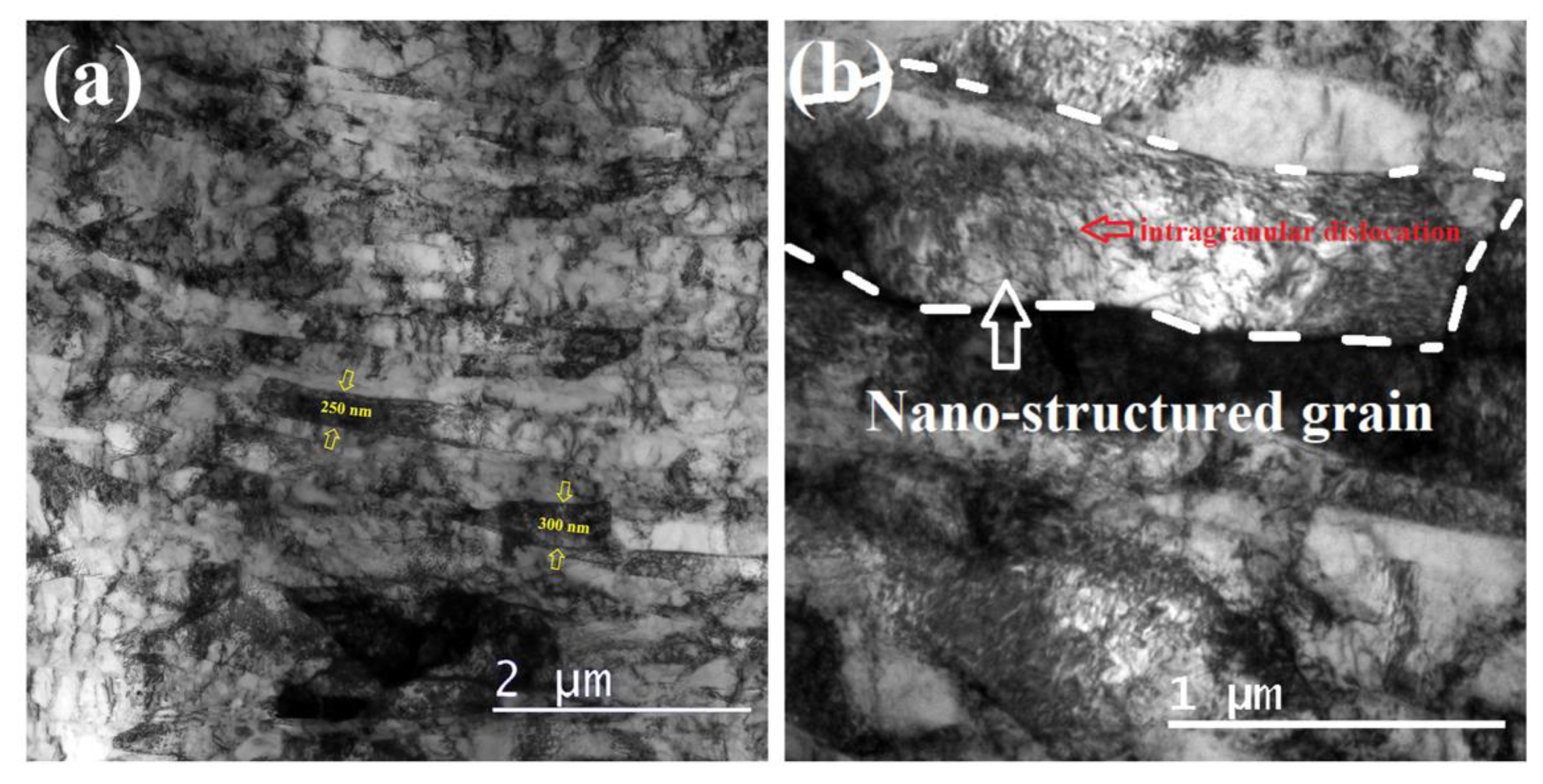 Coatings 13 00192 g012