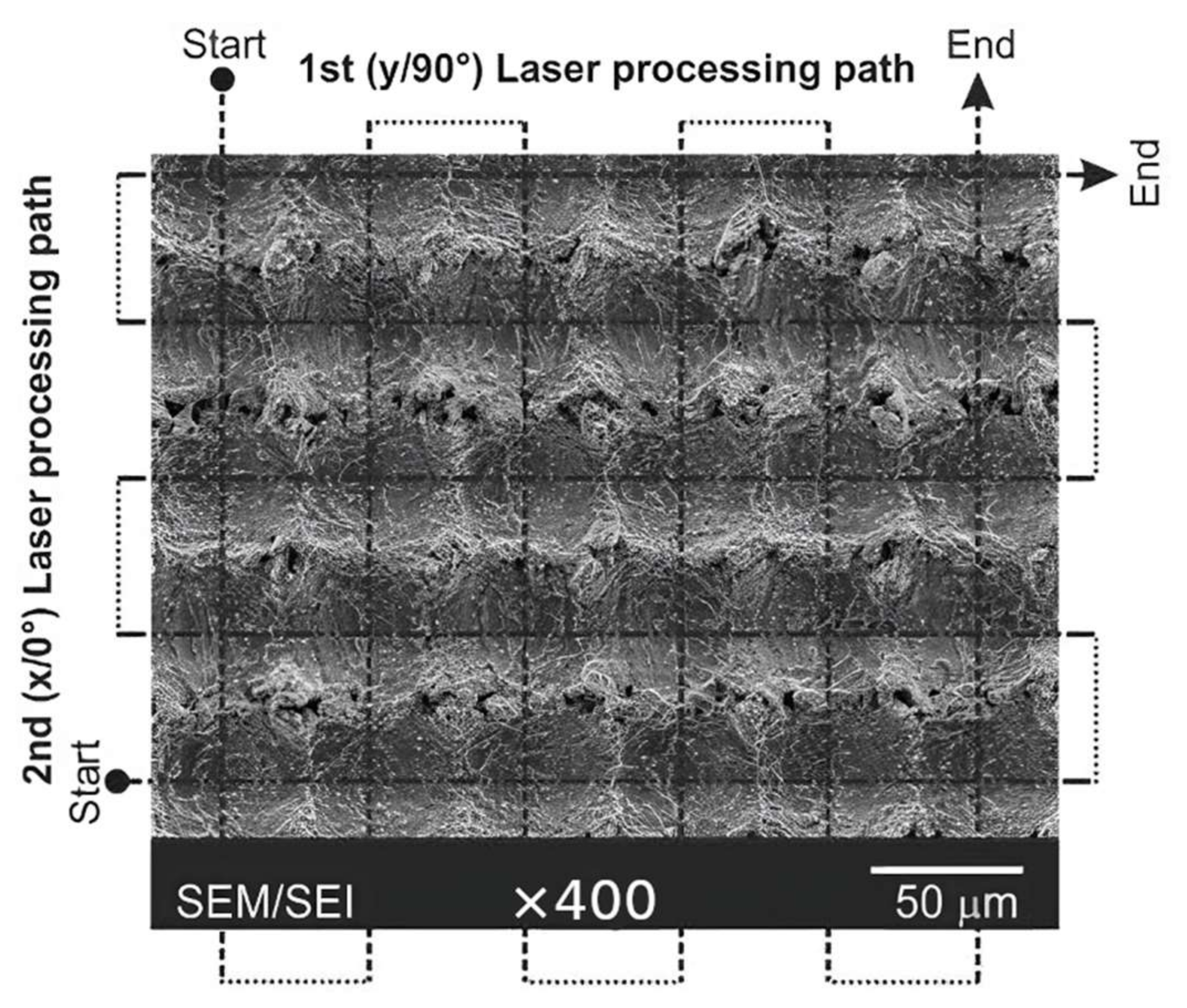 Coatings 13 00194 g003 Coatings 13 00194 g003