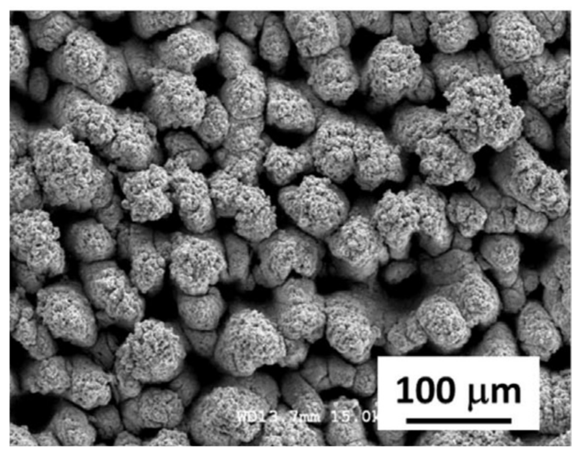 Coatings 13 00194 g005 Coatings 13 00194 g005