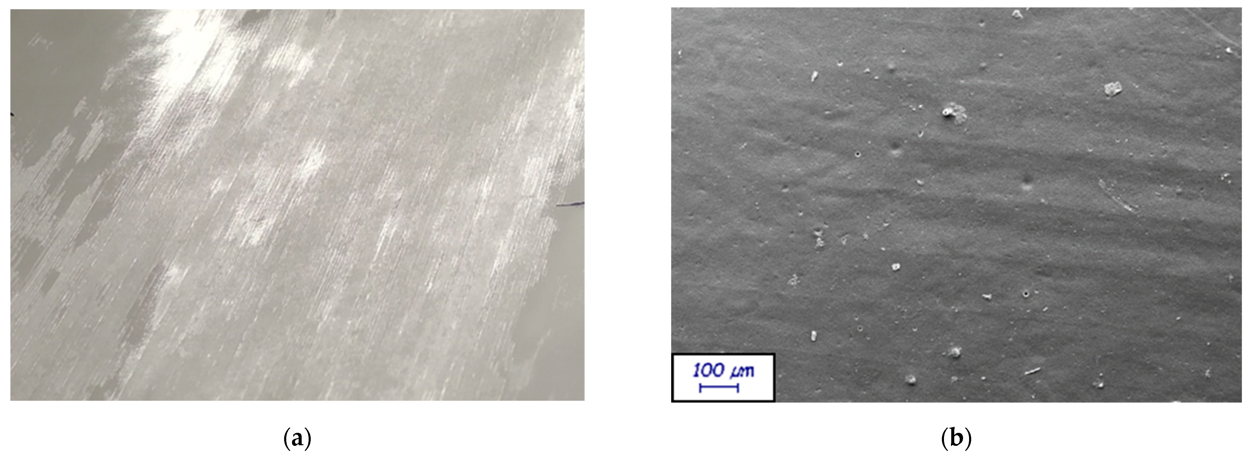 Coatings 13 00195 g002 Coatings 13 00195 g002