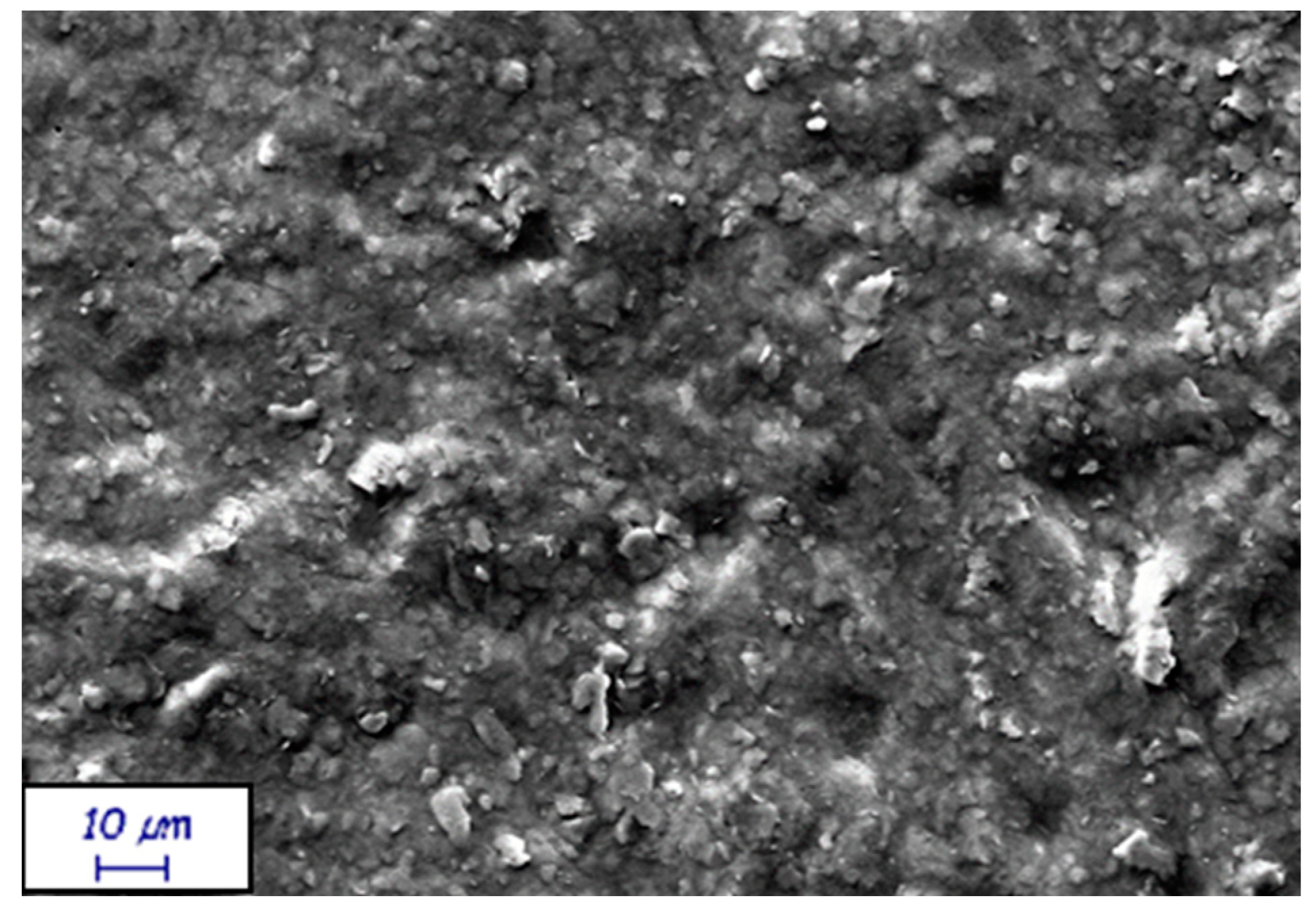 Coatings 13 00195 g004 Coatings 13 00195 g004