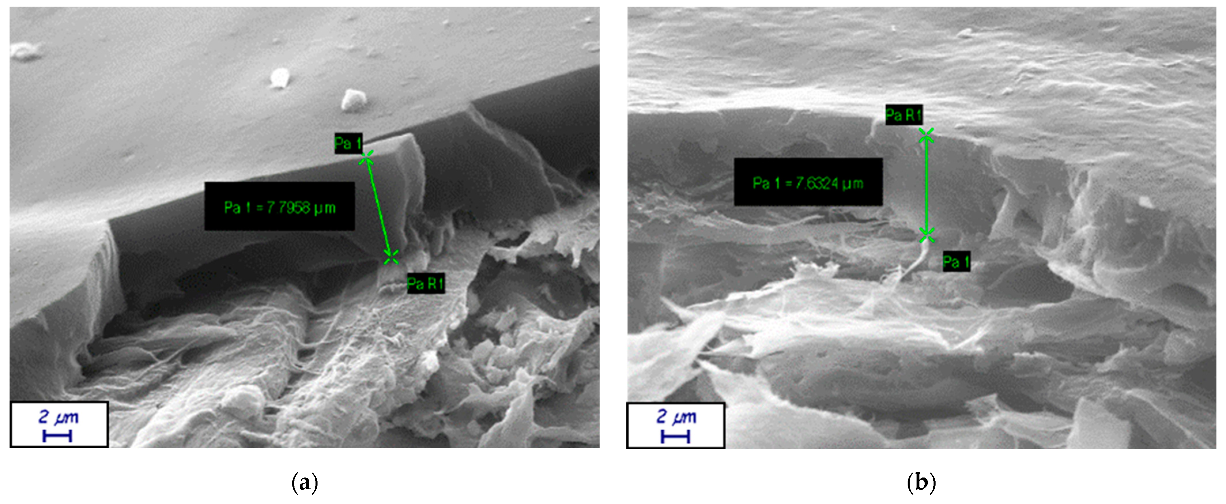 Coatings 13 00195 g0a5 Coatings 13 00195 g0a5