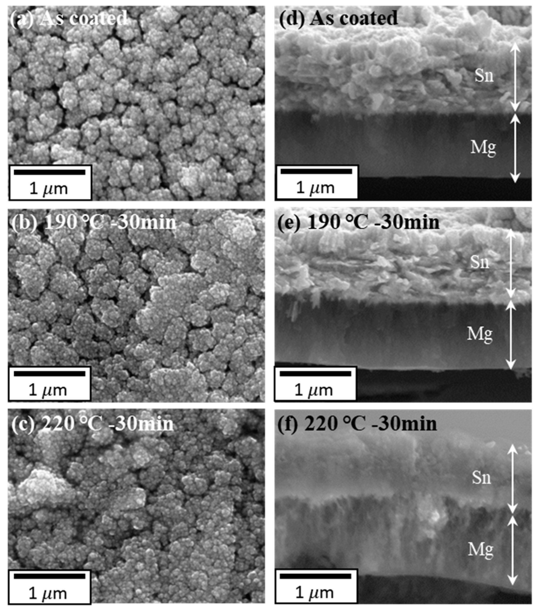 Coatings 13 00196 g002 Coatings 13 00196 g002