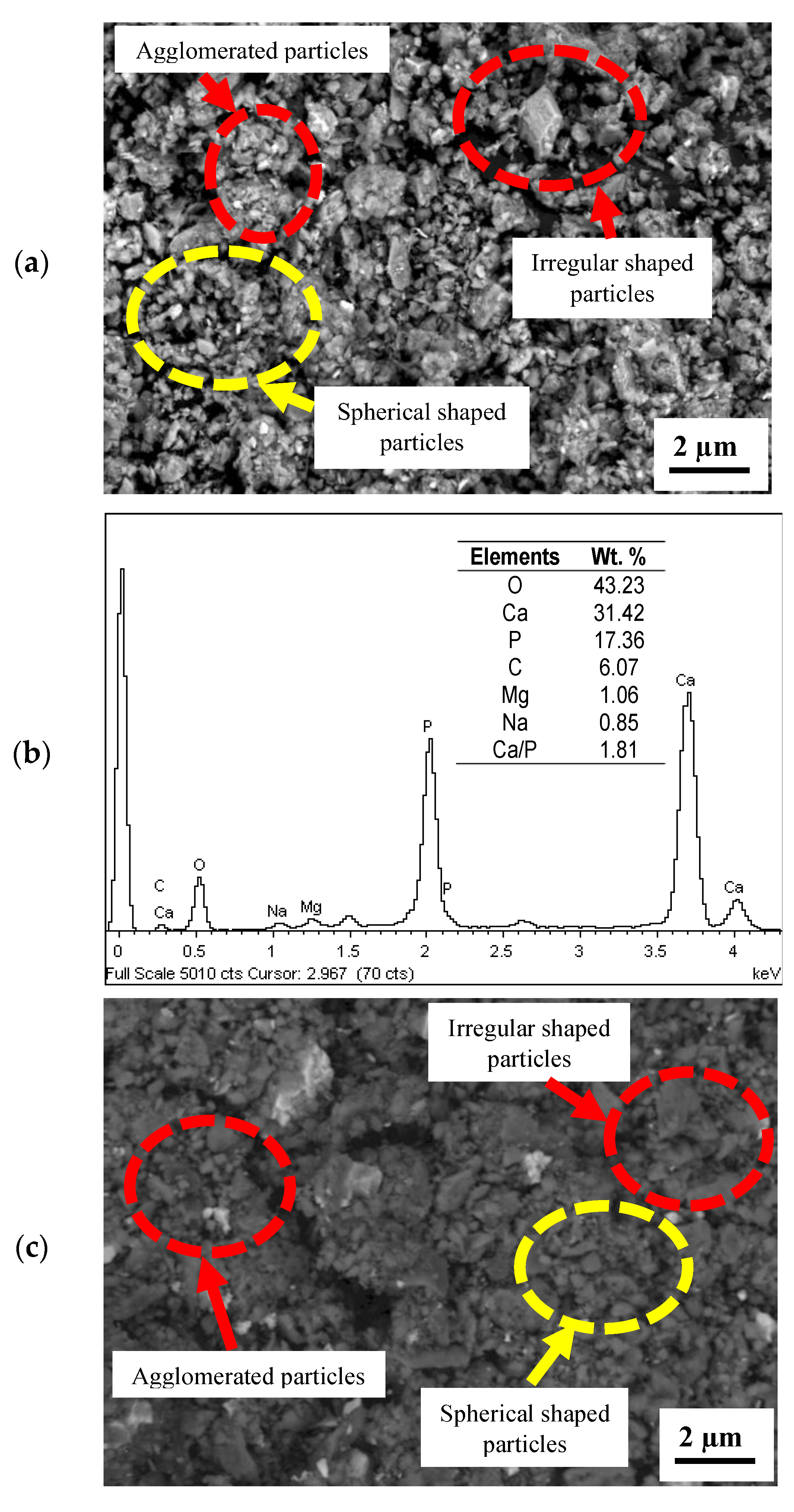 Coatings 13 00199 g005a Coatings 13 00199 g005a