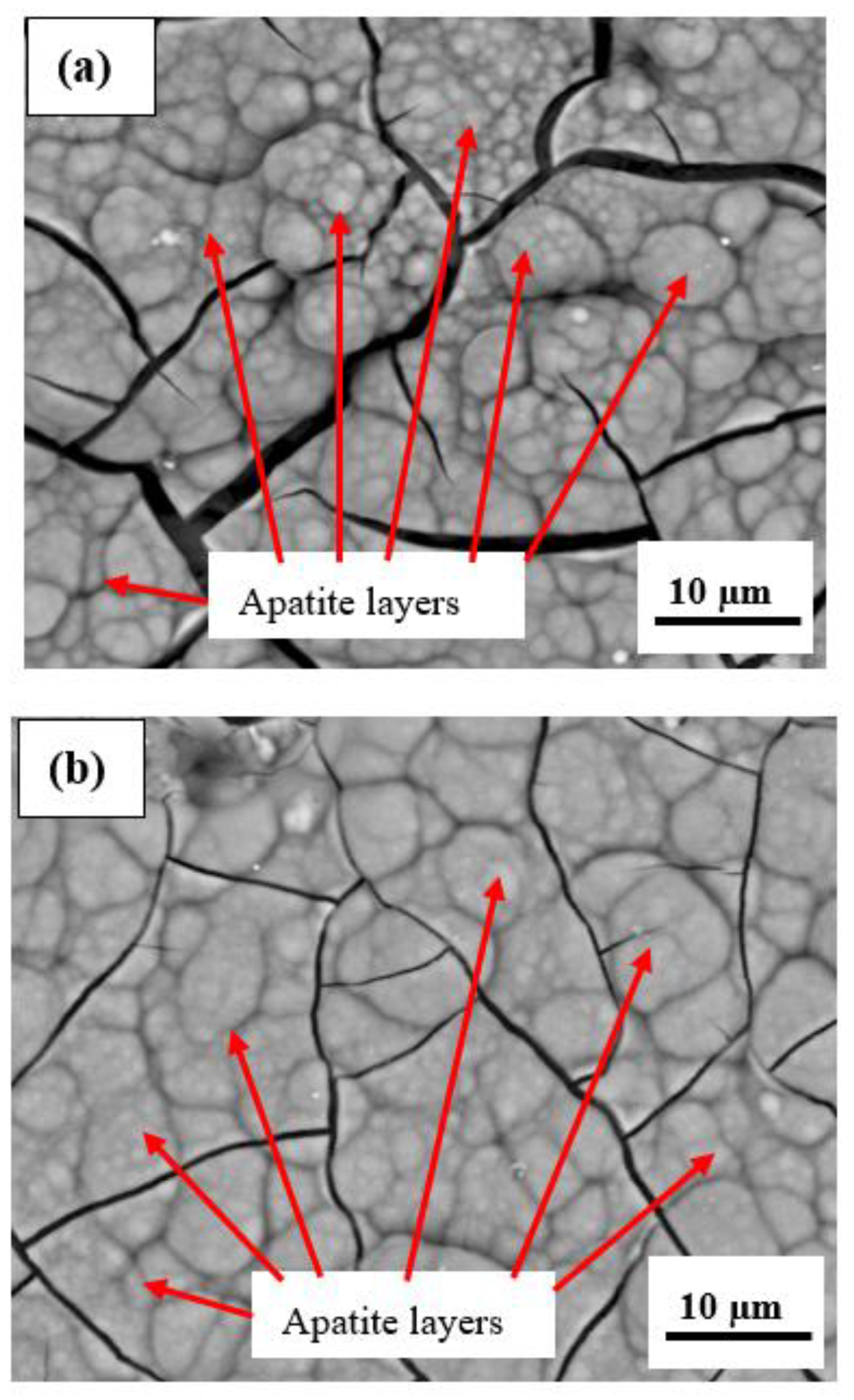 Coatings 13 00199 g010a Coatings 13 00199 g010a