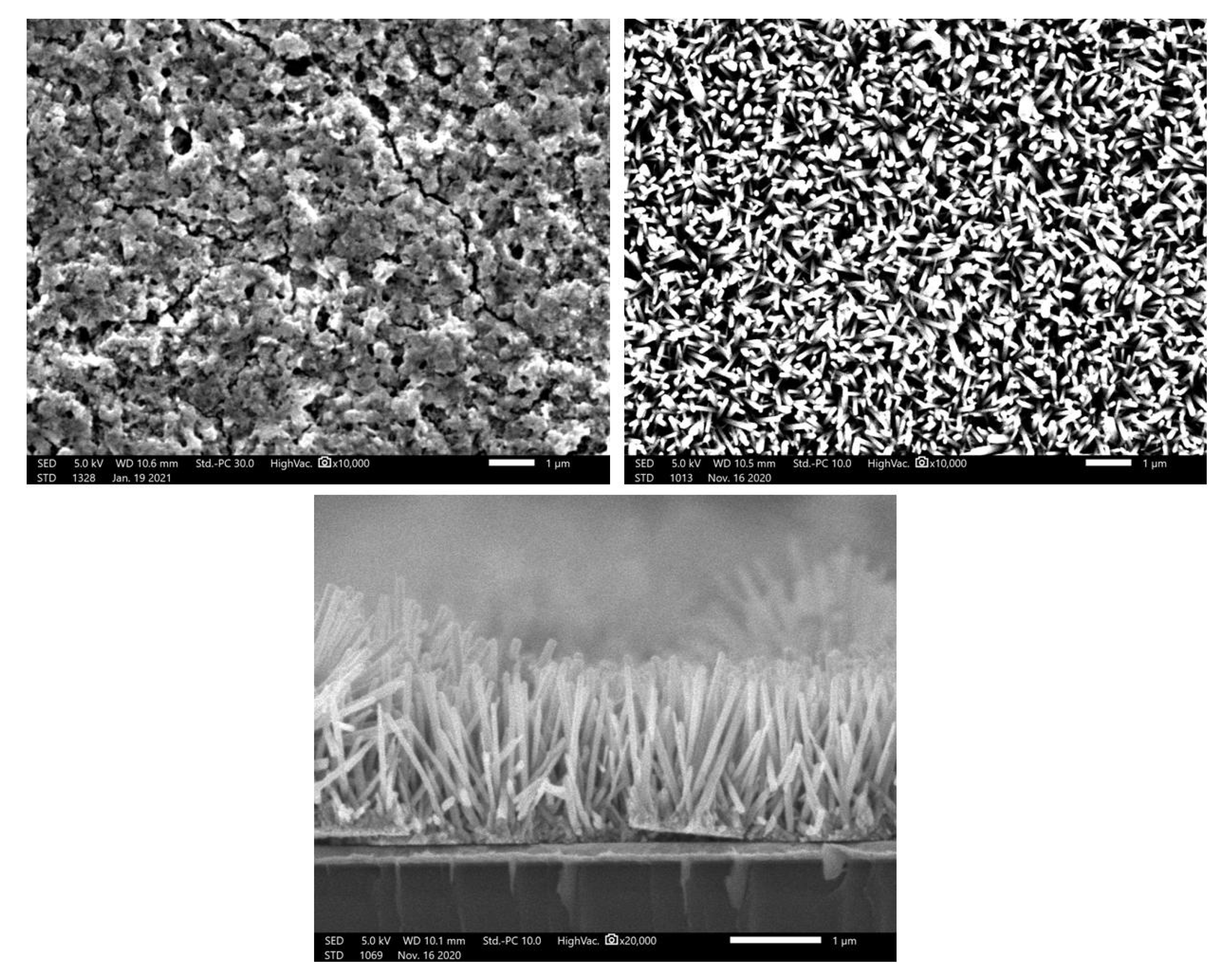 Coatings 13 00200 g007